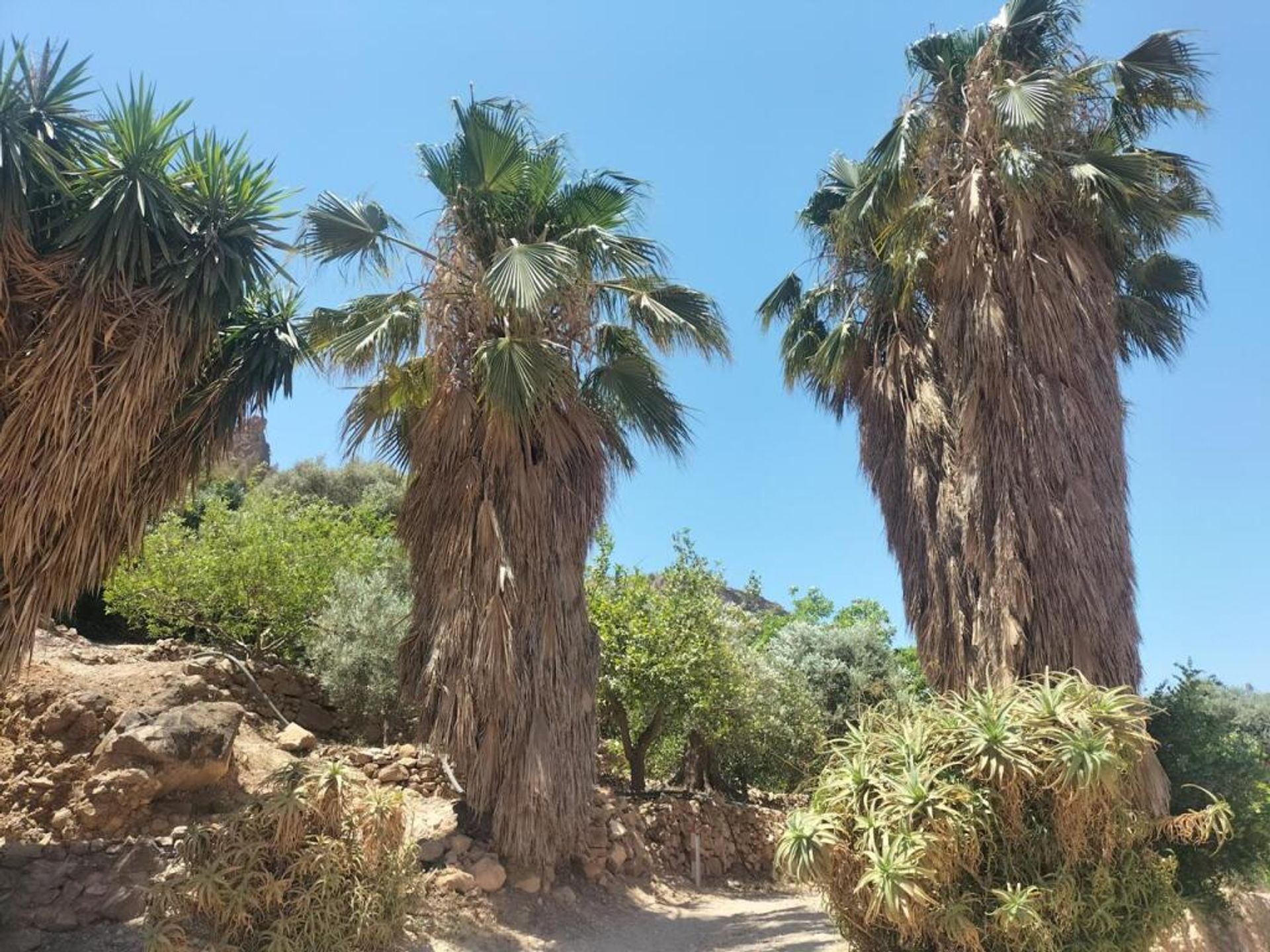 بيت في Lanjaron, Andalusia 11523585