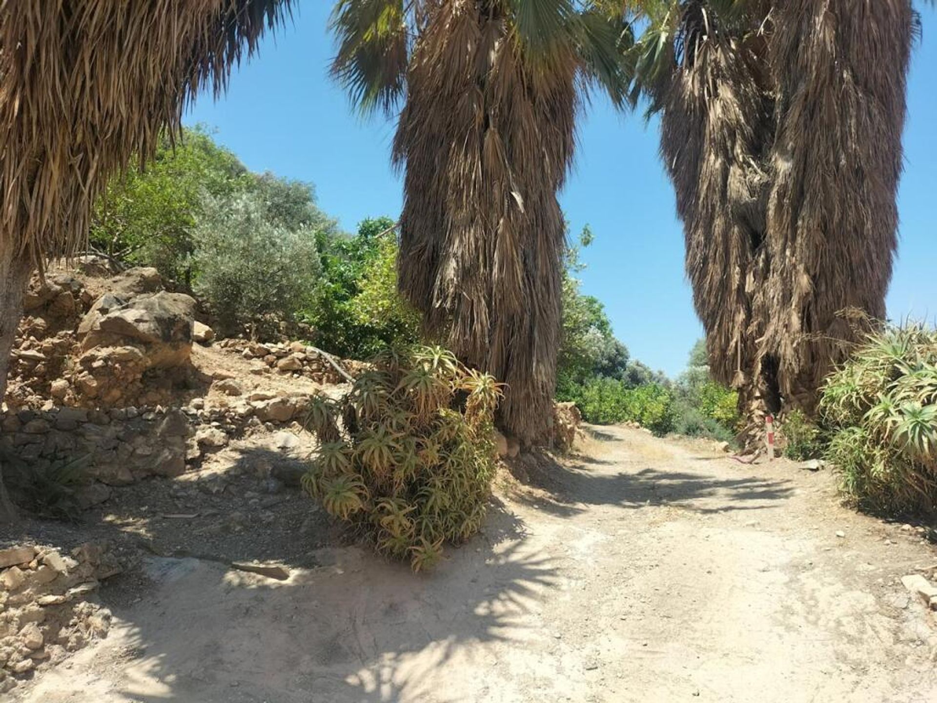 Casa nel Lanjaron, Andalusia 11523585