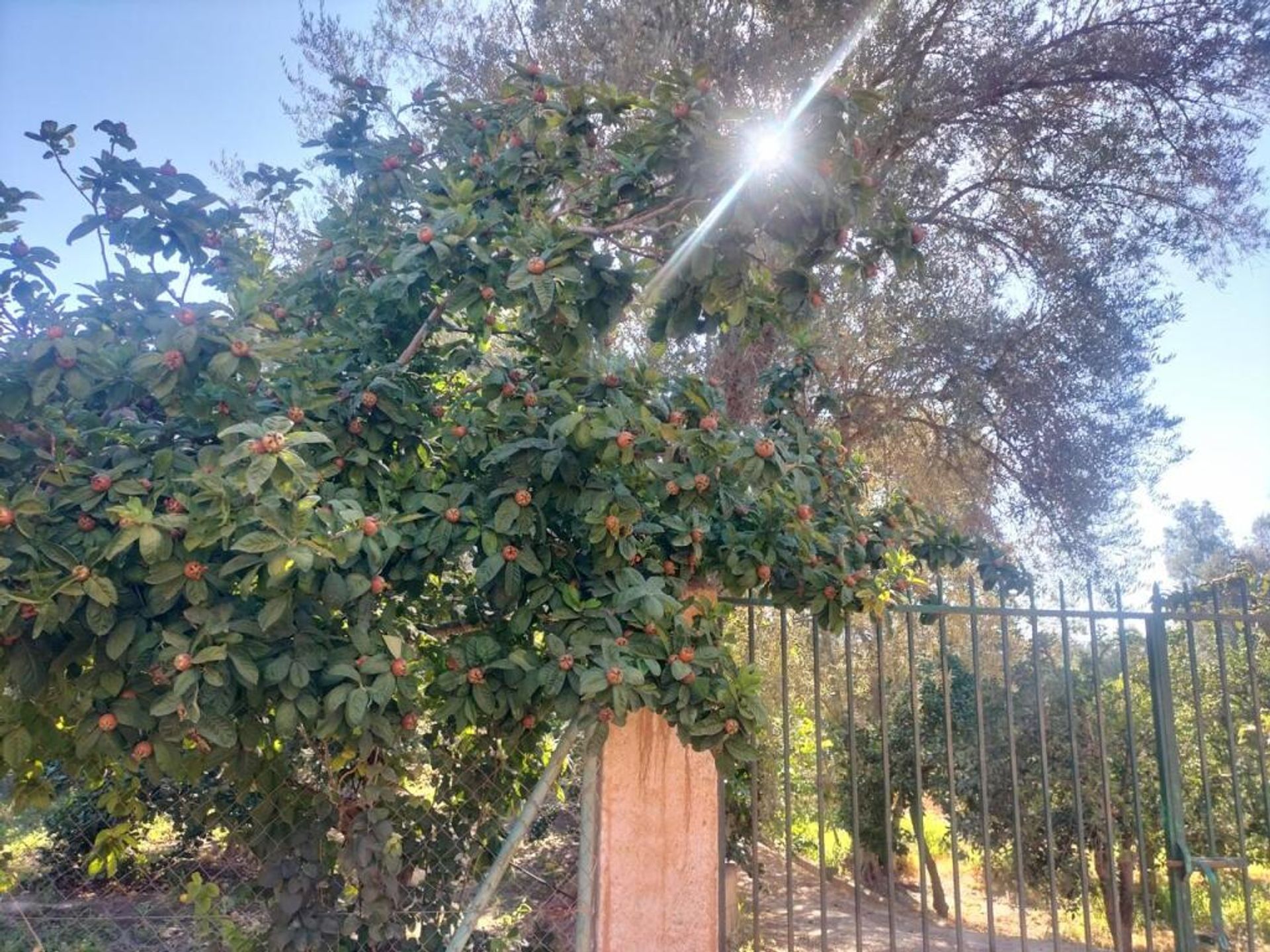 Huis in Lecrín, Andalucía 11523593