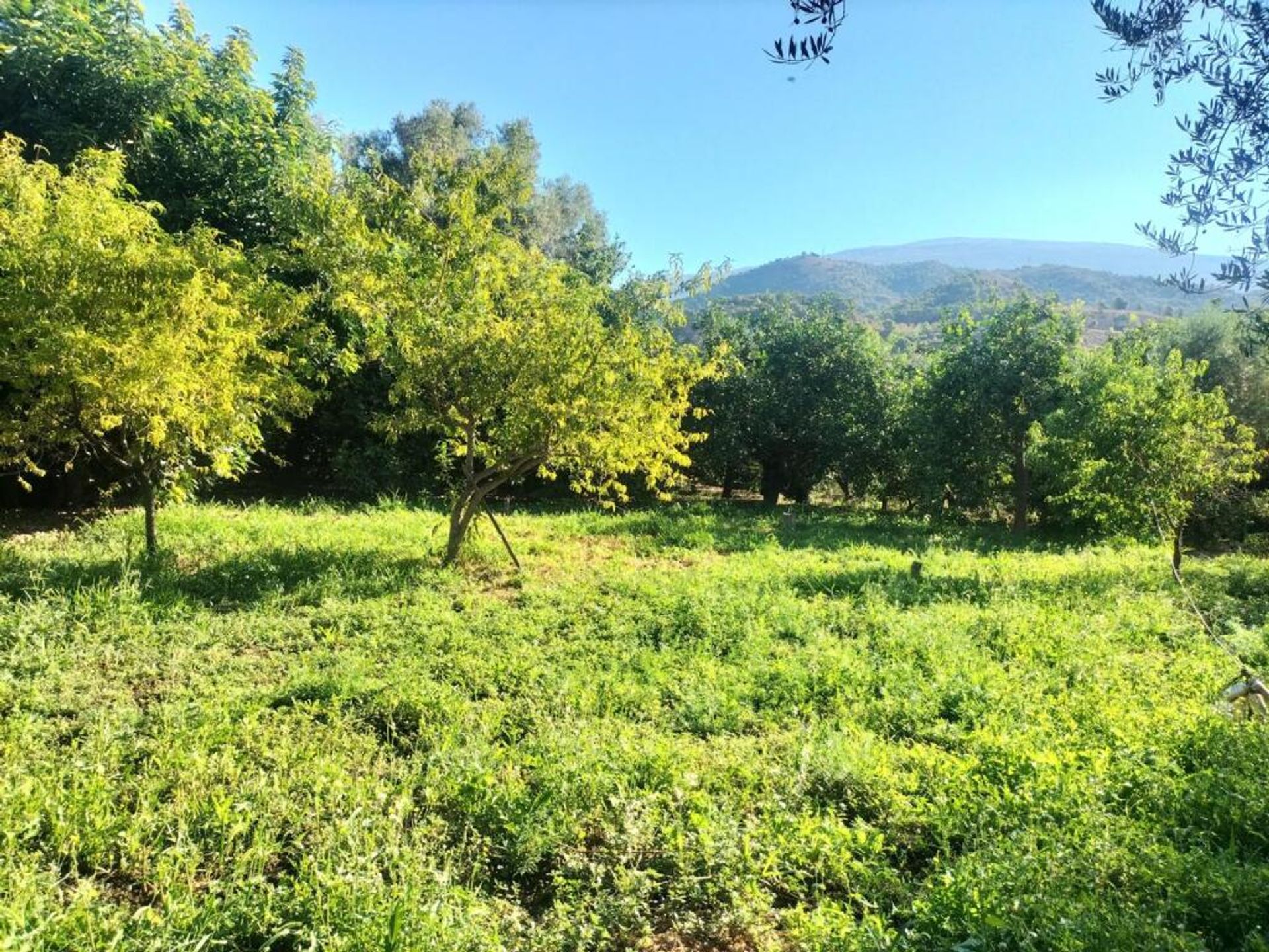 Huis in Lecrín, Andalucía 11523593