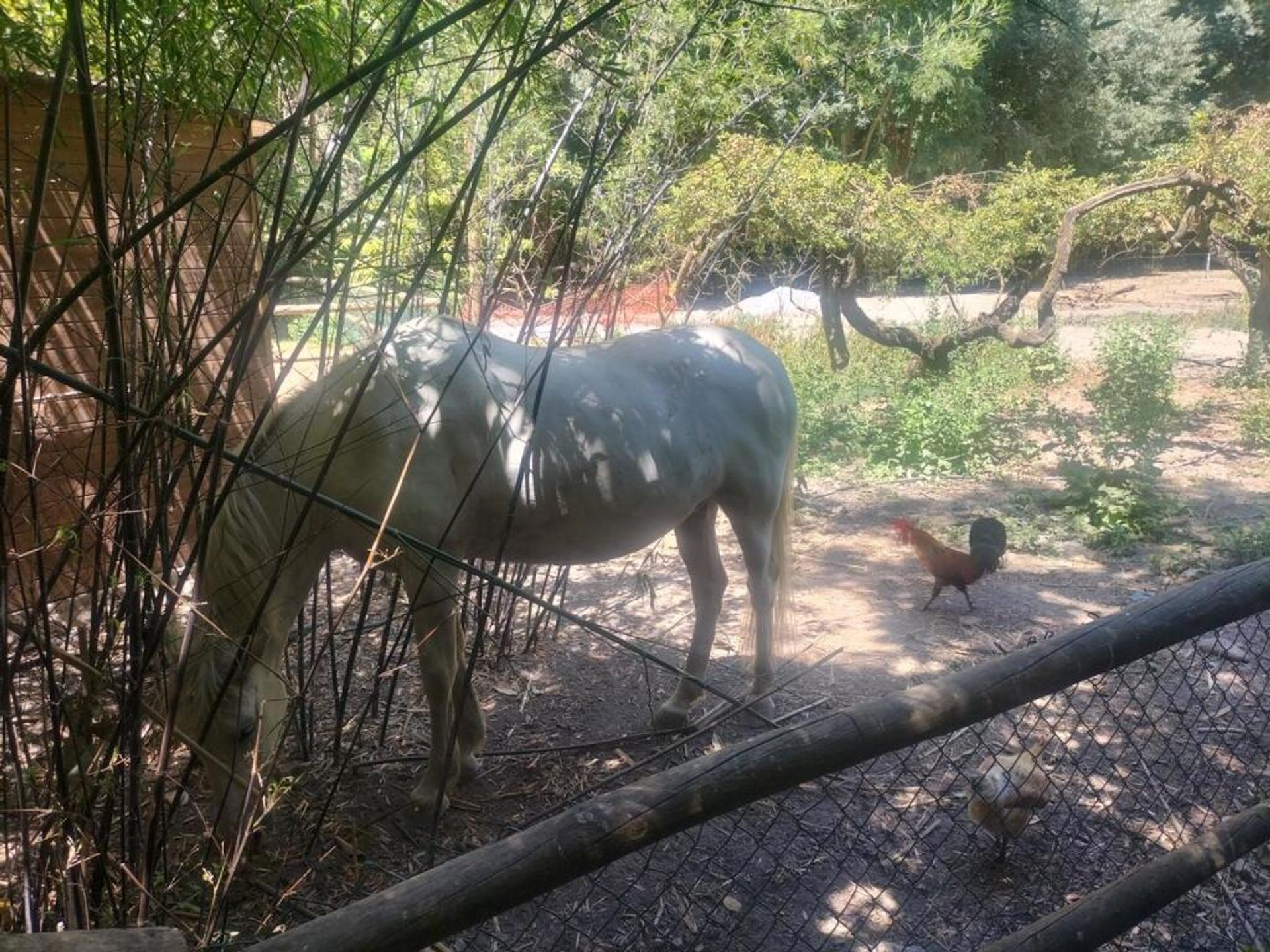 房子 在 Cozvijar, Andalucía 11523596