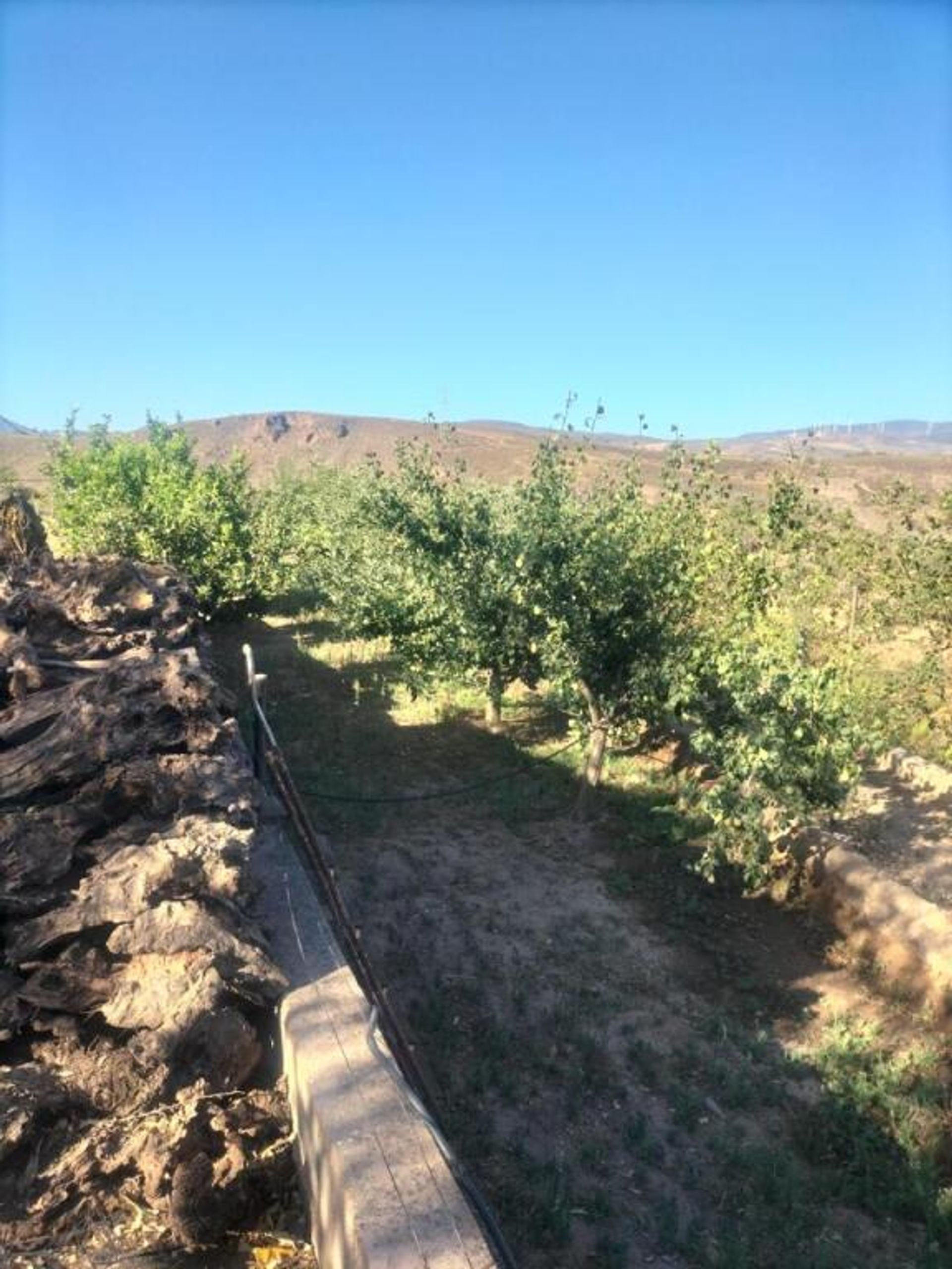 casa no Cozvijar, Andalucía 11523596