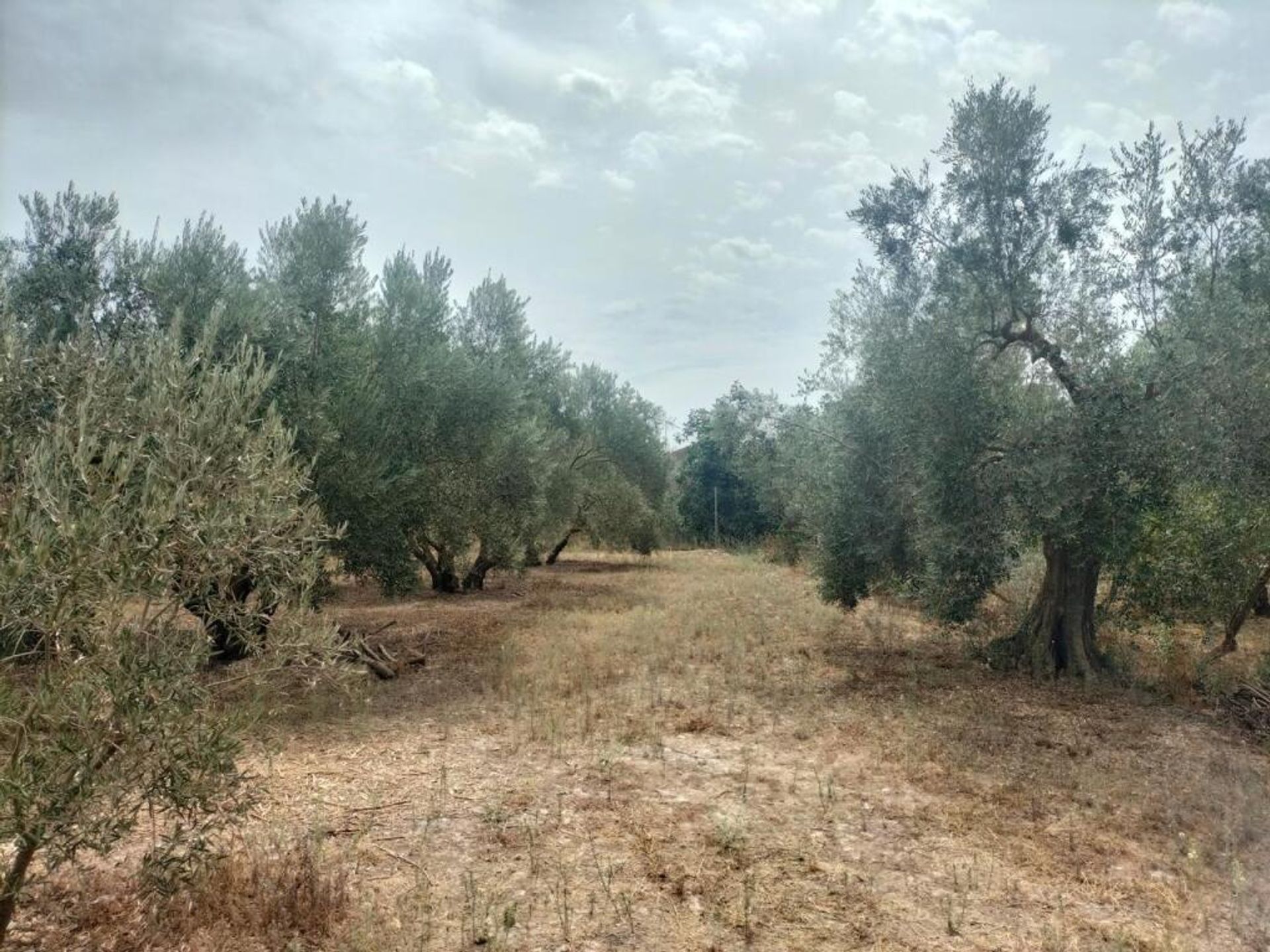 Maa sisään Durcal, Andalusia 11523599