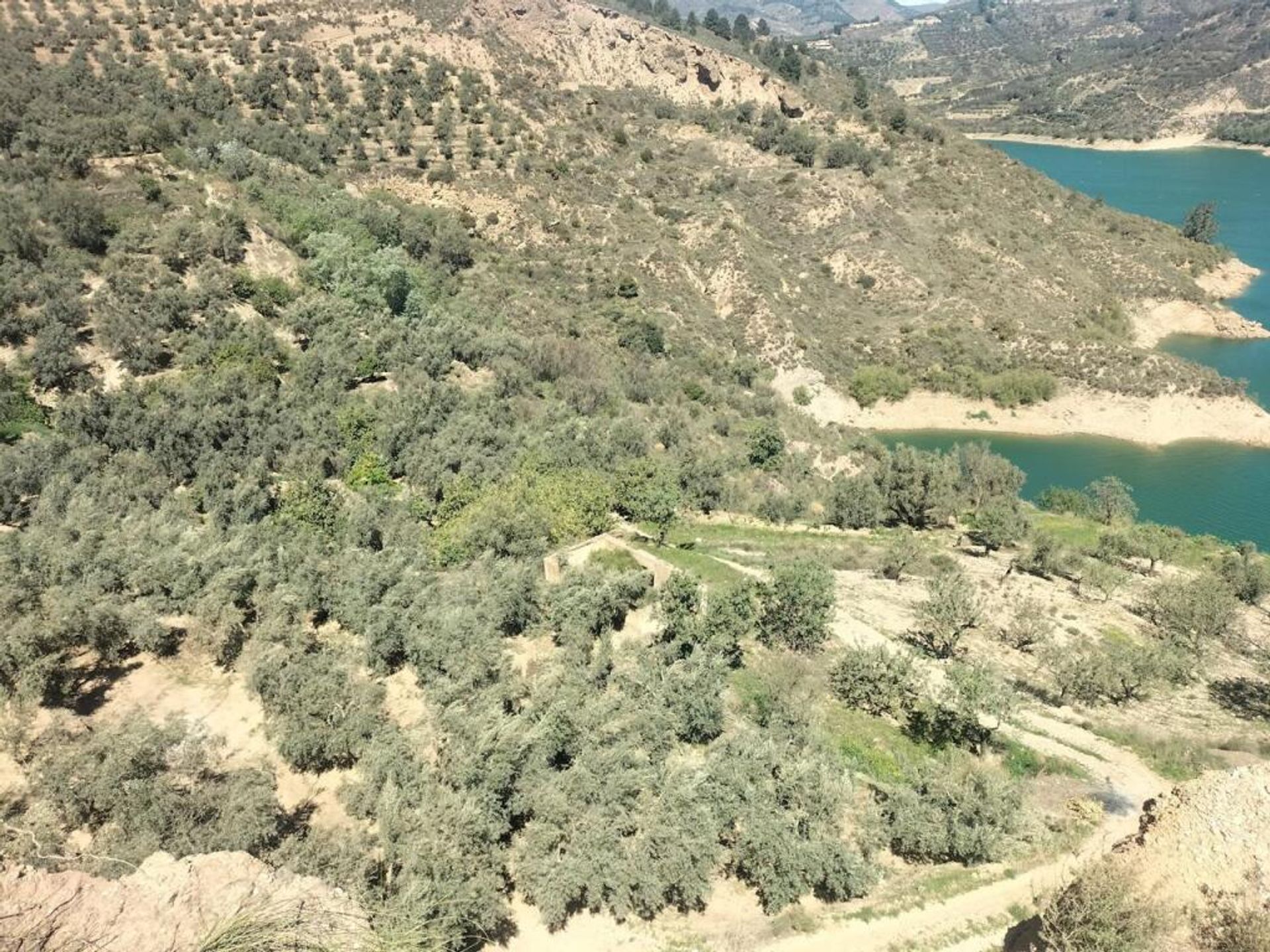 Terre dans Lecrín, Andalucía 11523604