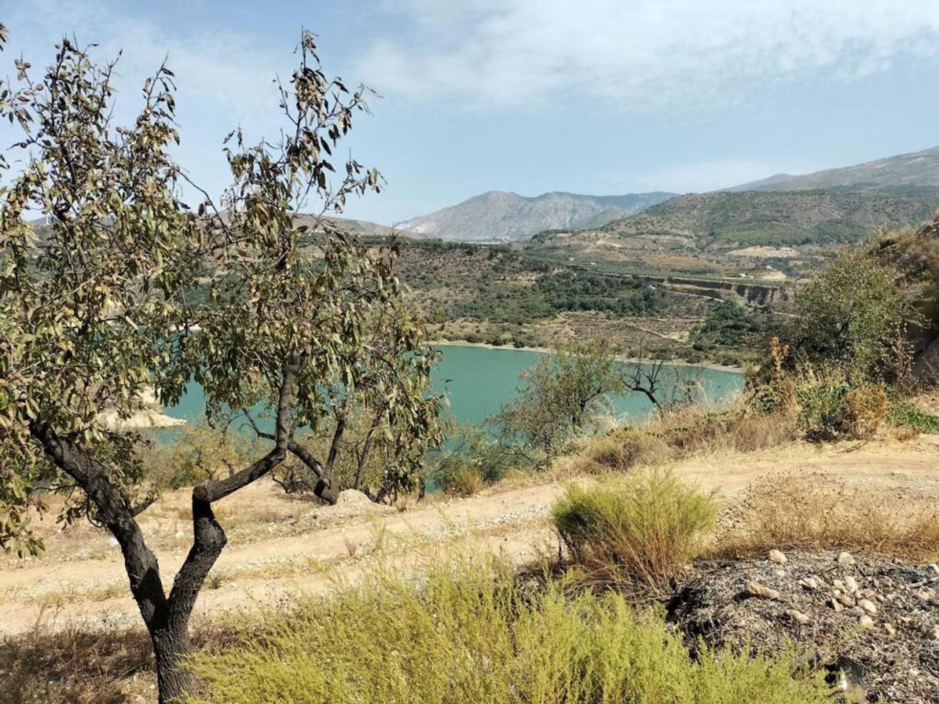 Terre dans Lecrín, Andalucía 11523604