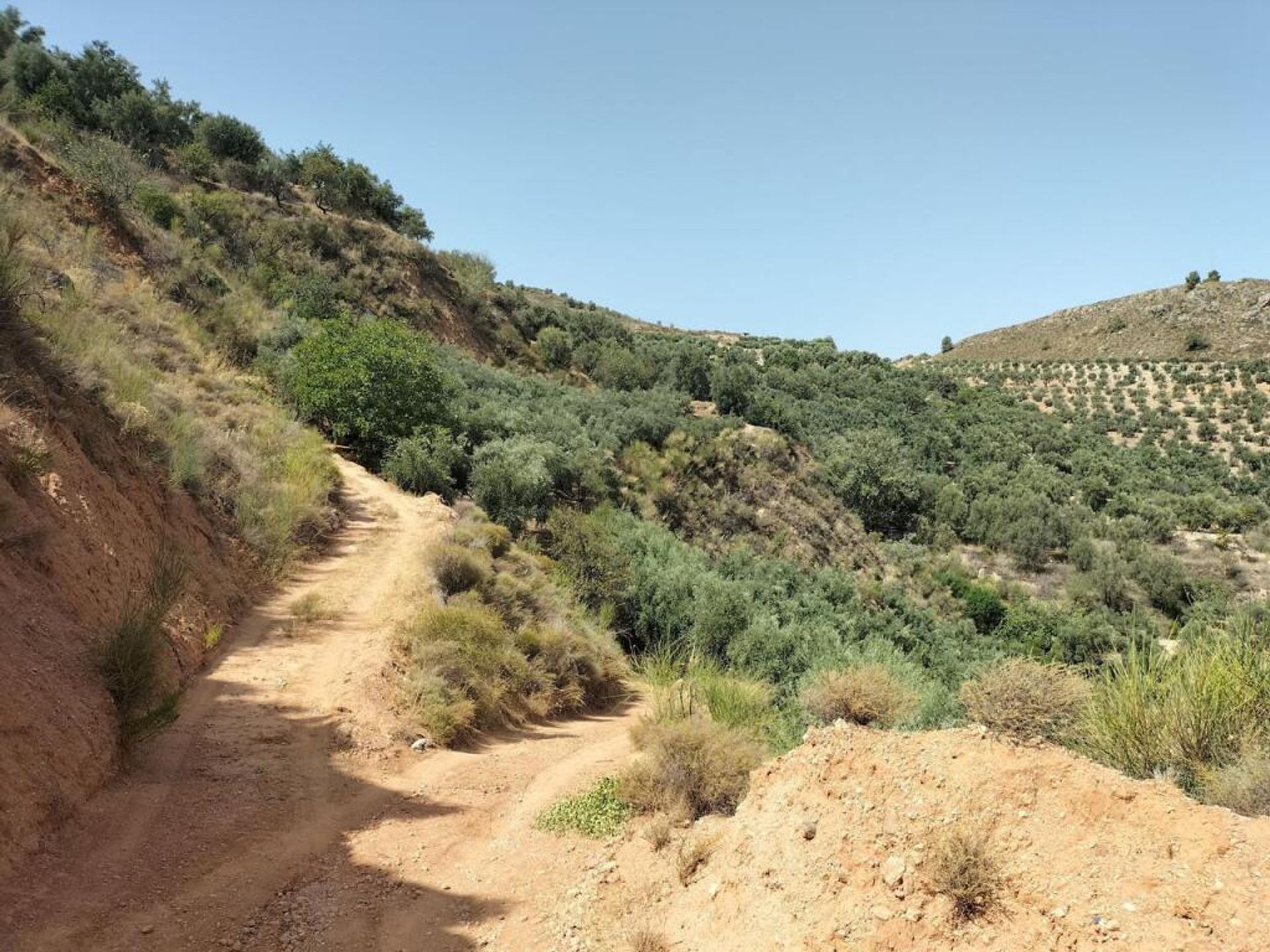 Terre dans Lecrín, Andalucía 11523604