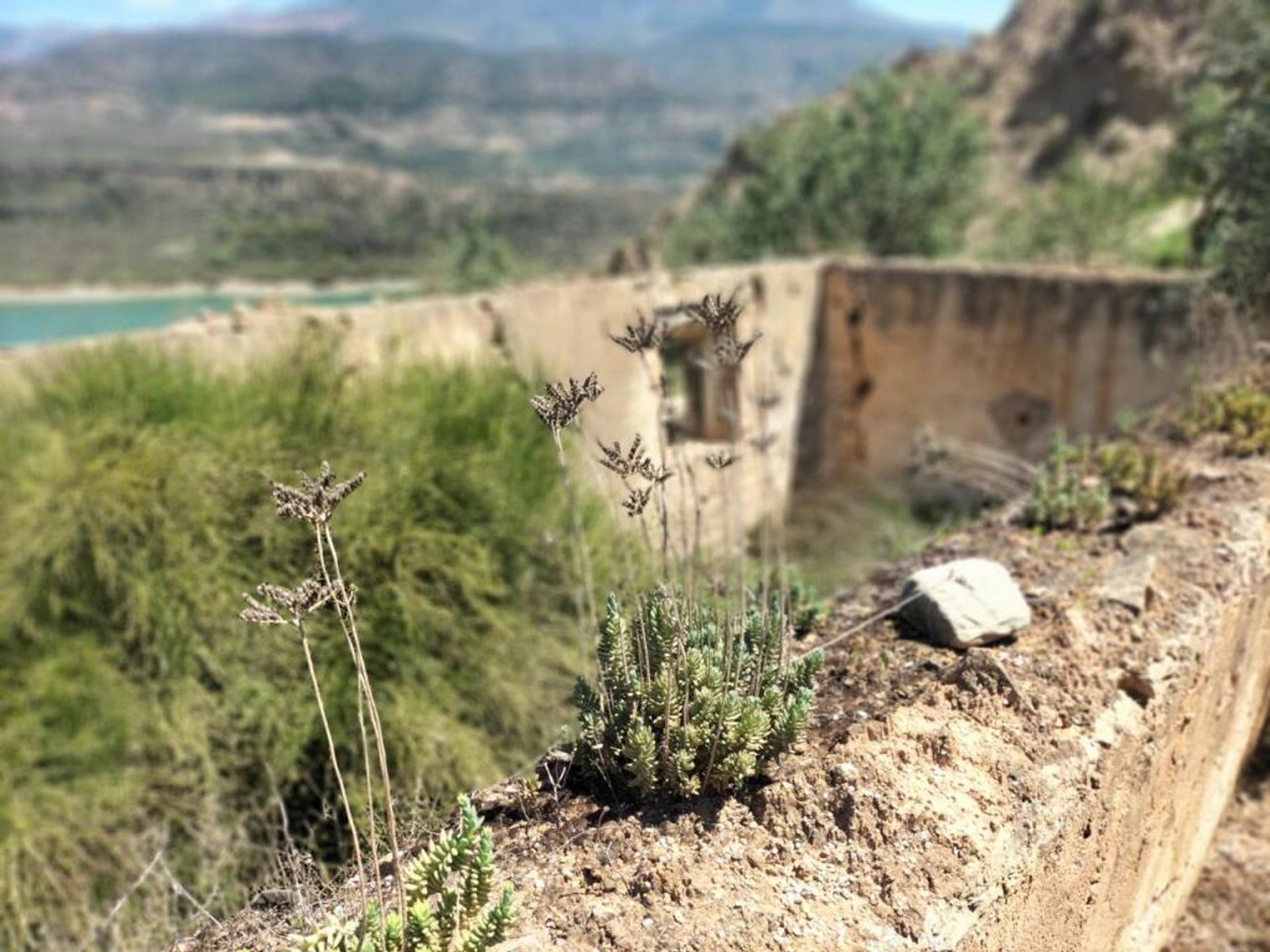 Terre dans Lecrín, Andalucía 11523604