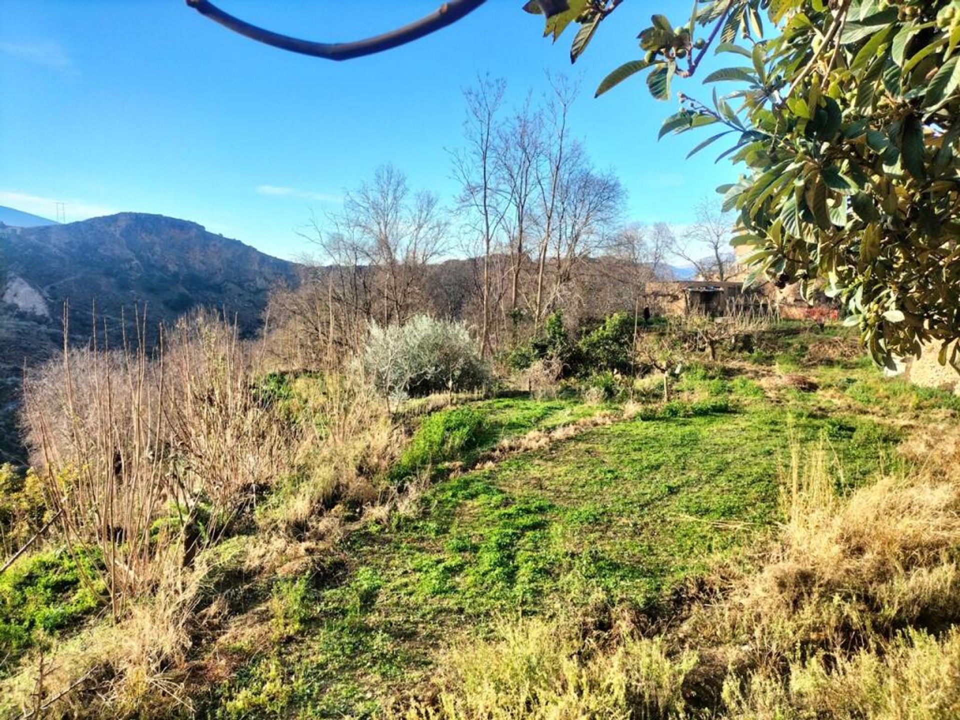 casa en Lanjarón, Andalucía 11523615