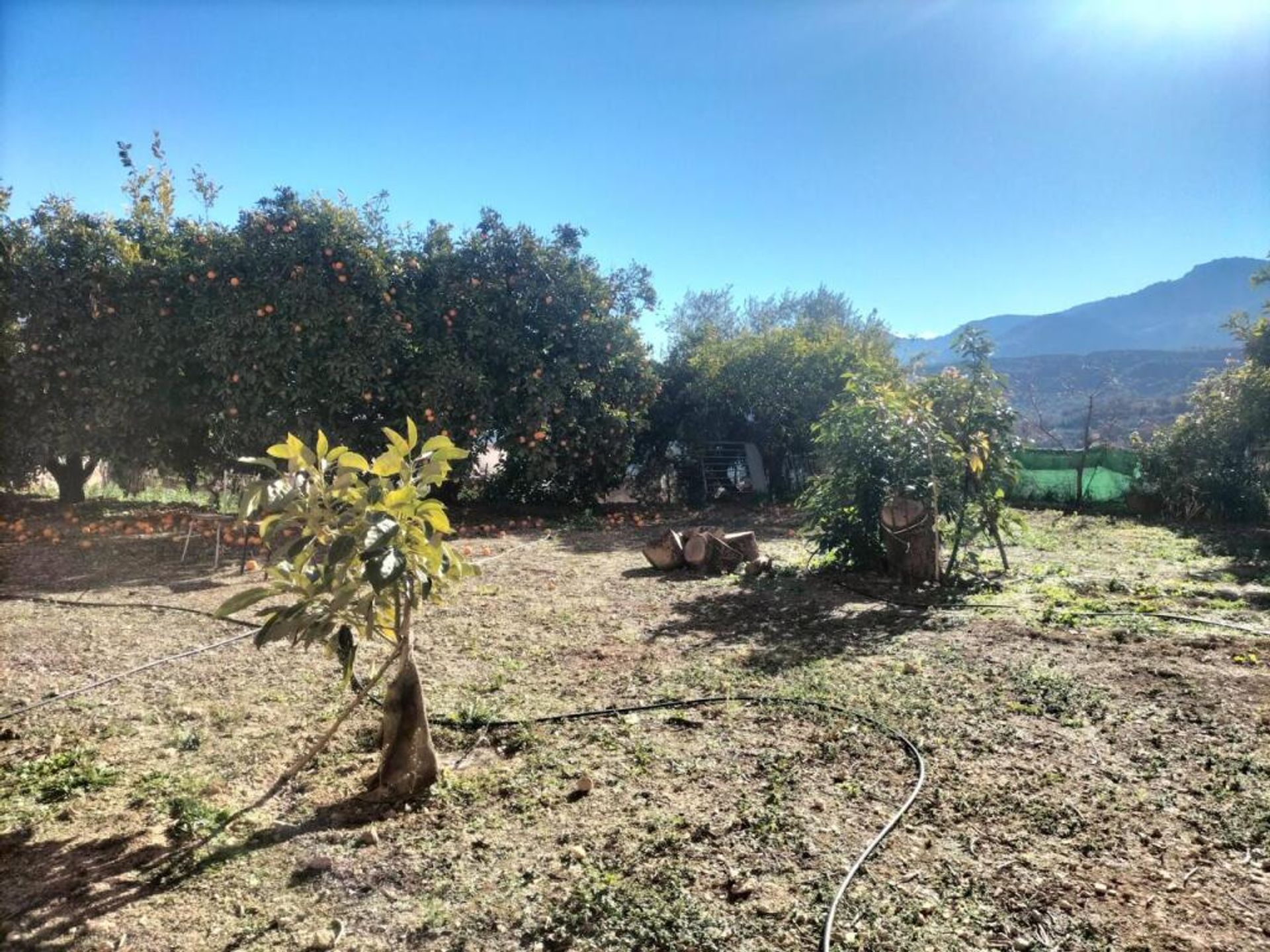 Casa nel Albuñuelas, Andalucía 11523618