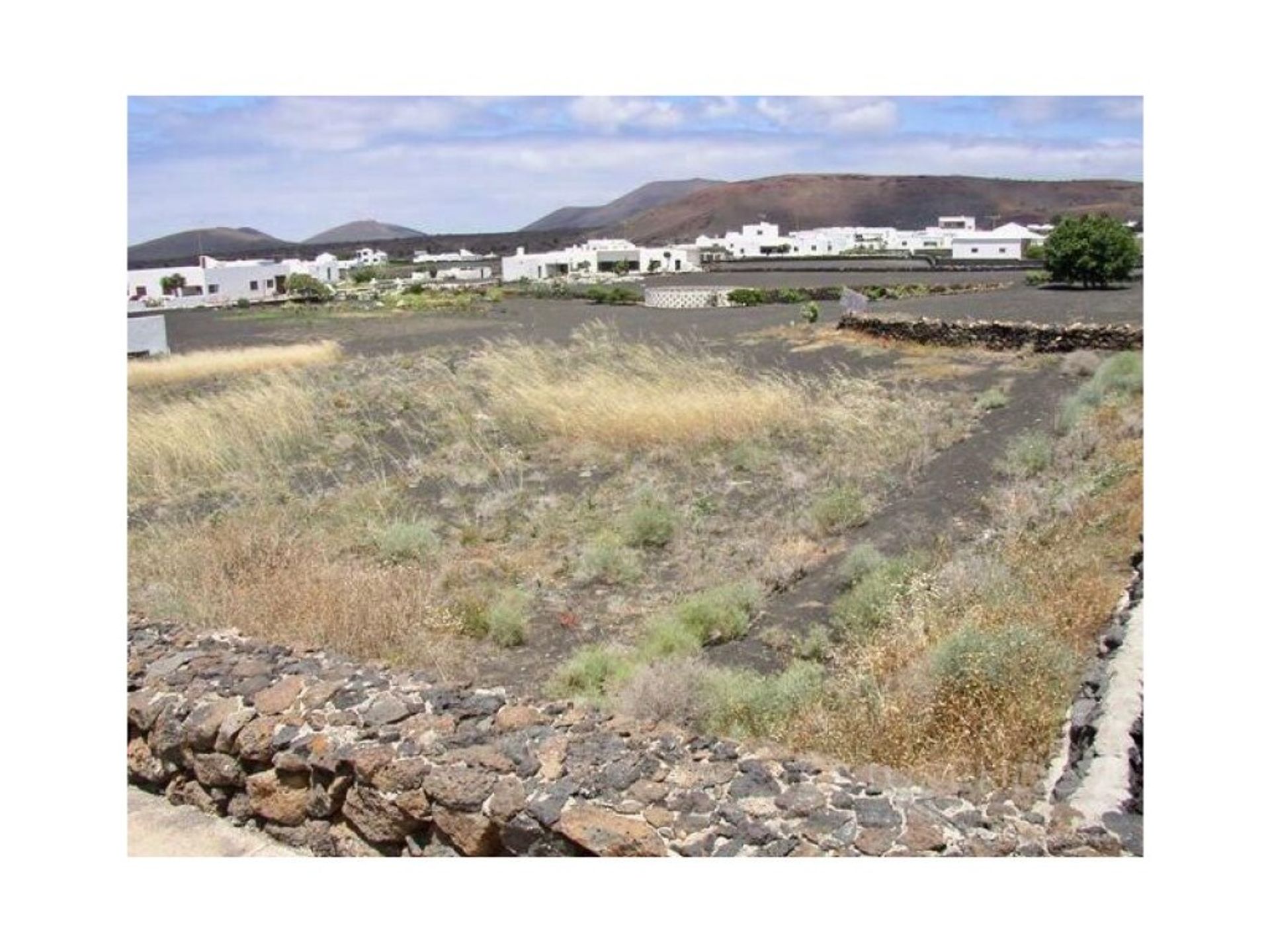 Tierra en uga, Islas Canarias 11523669