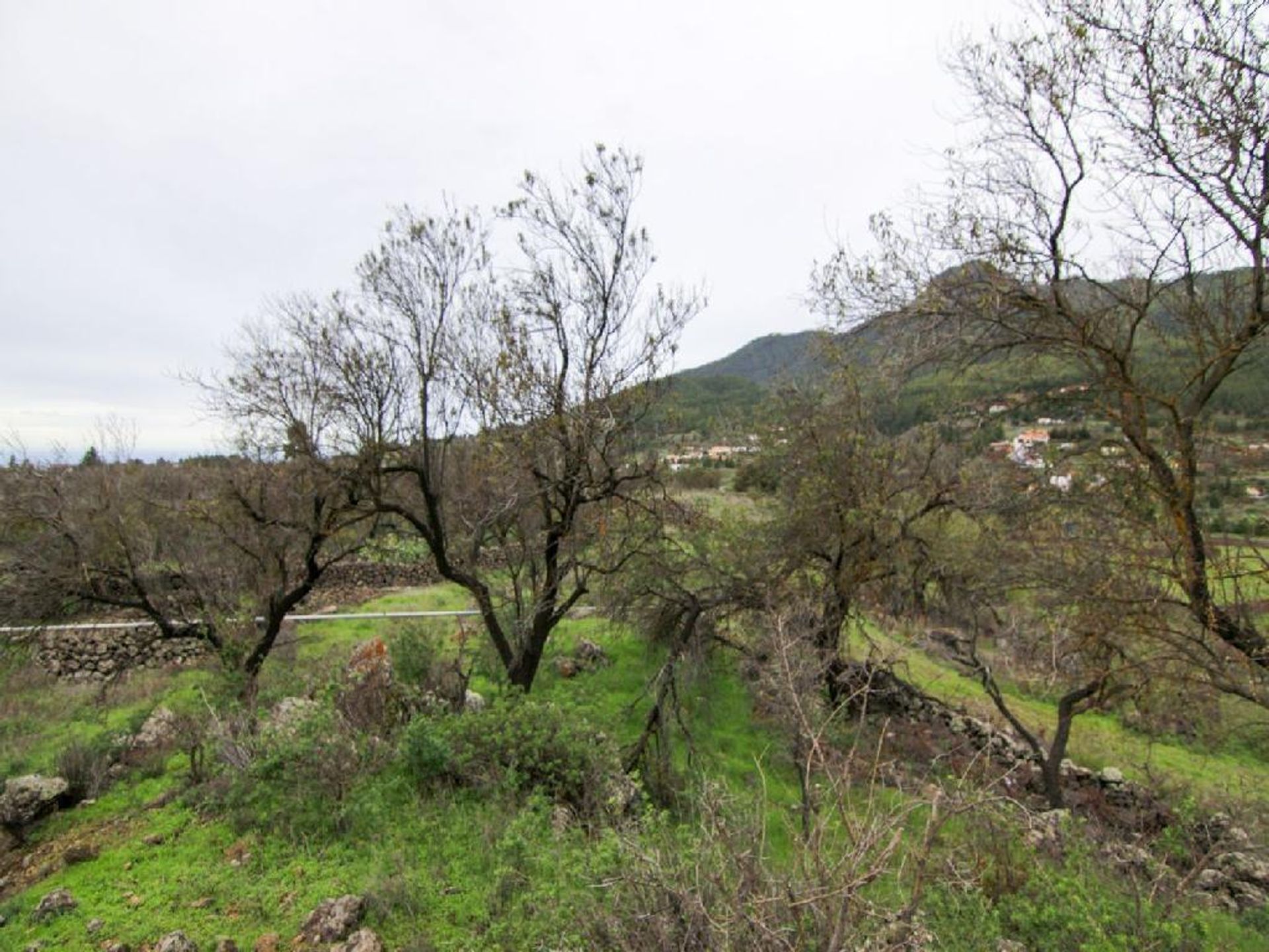 Земля в El Paso, Canarias 11523831