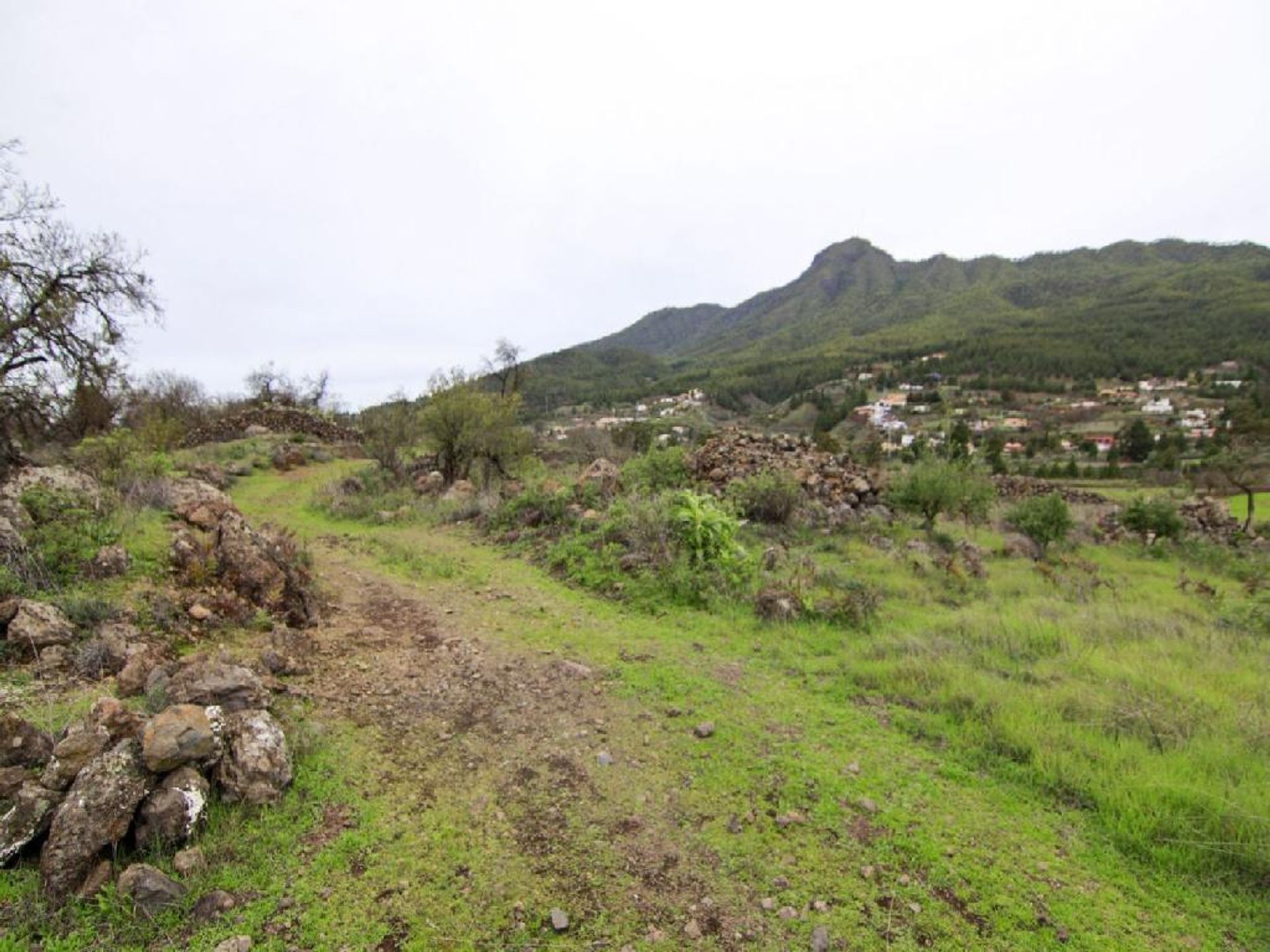 Земля в El Paso, Canarias 11523831