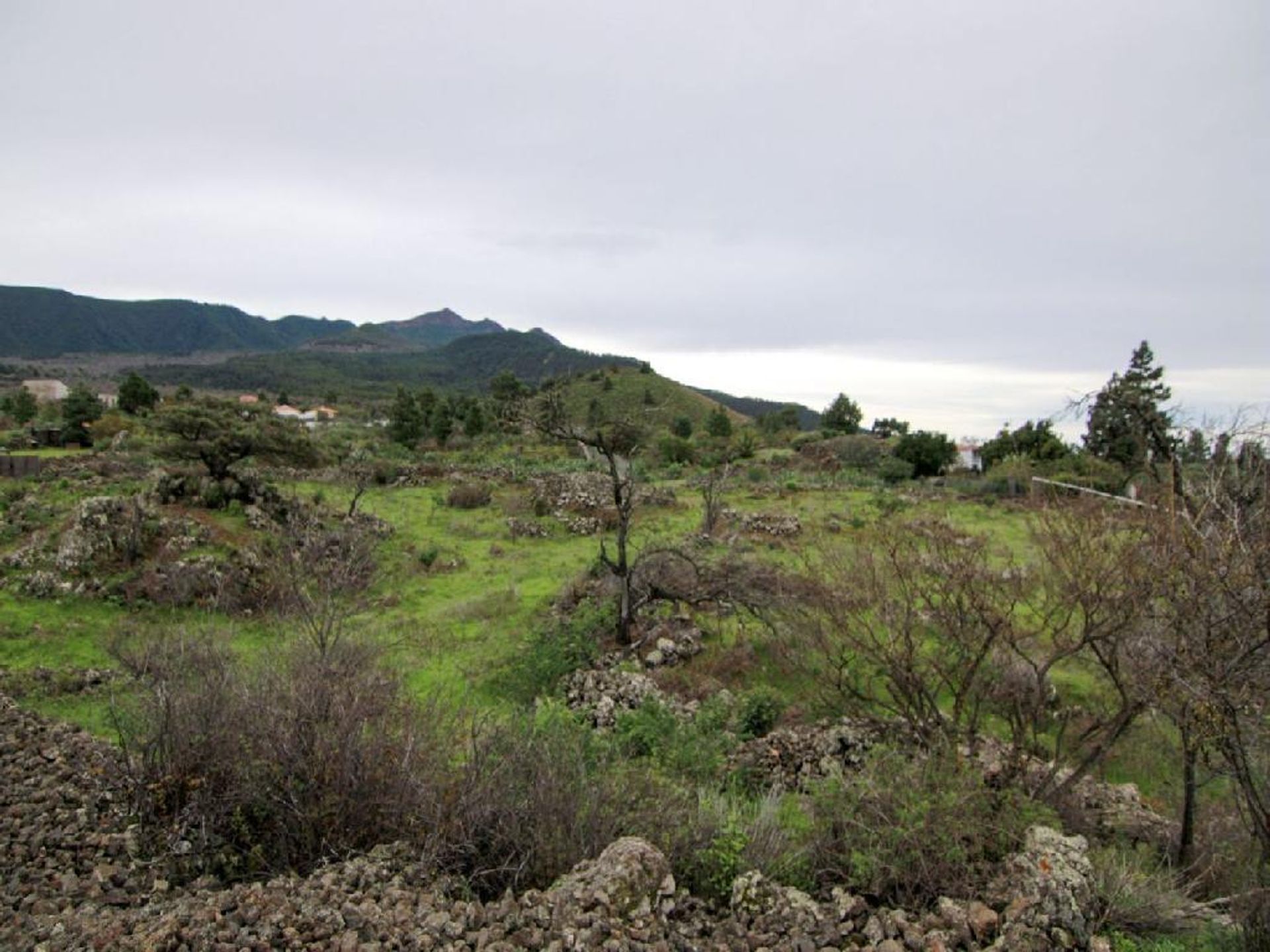 Земля в El Paso, Canarias 11523831