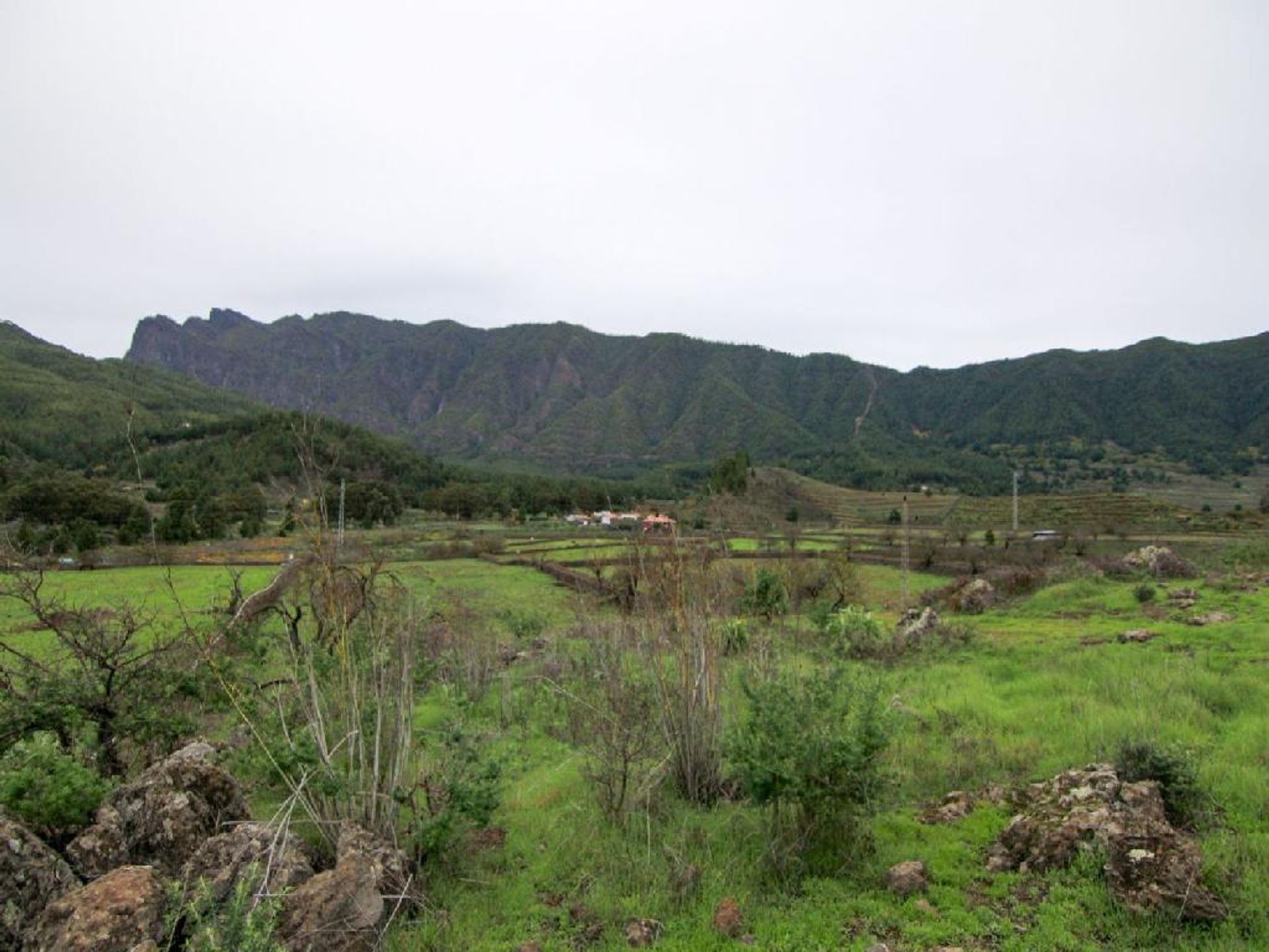 Земля в El Paso, Canarias 11523831