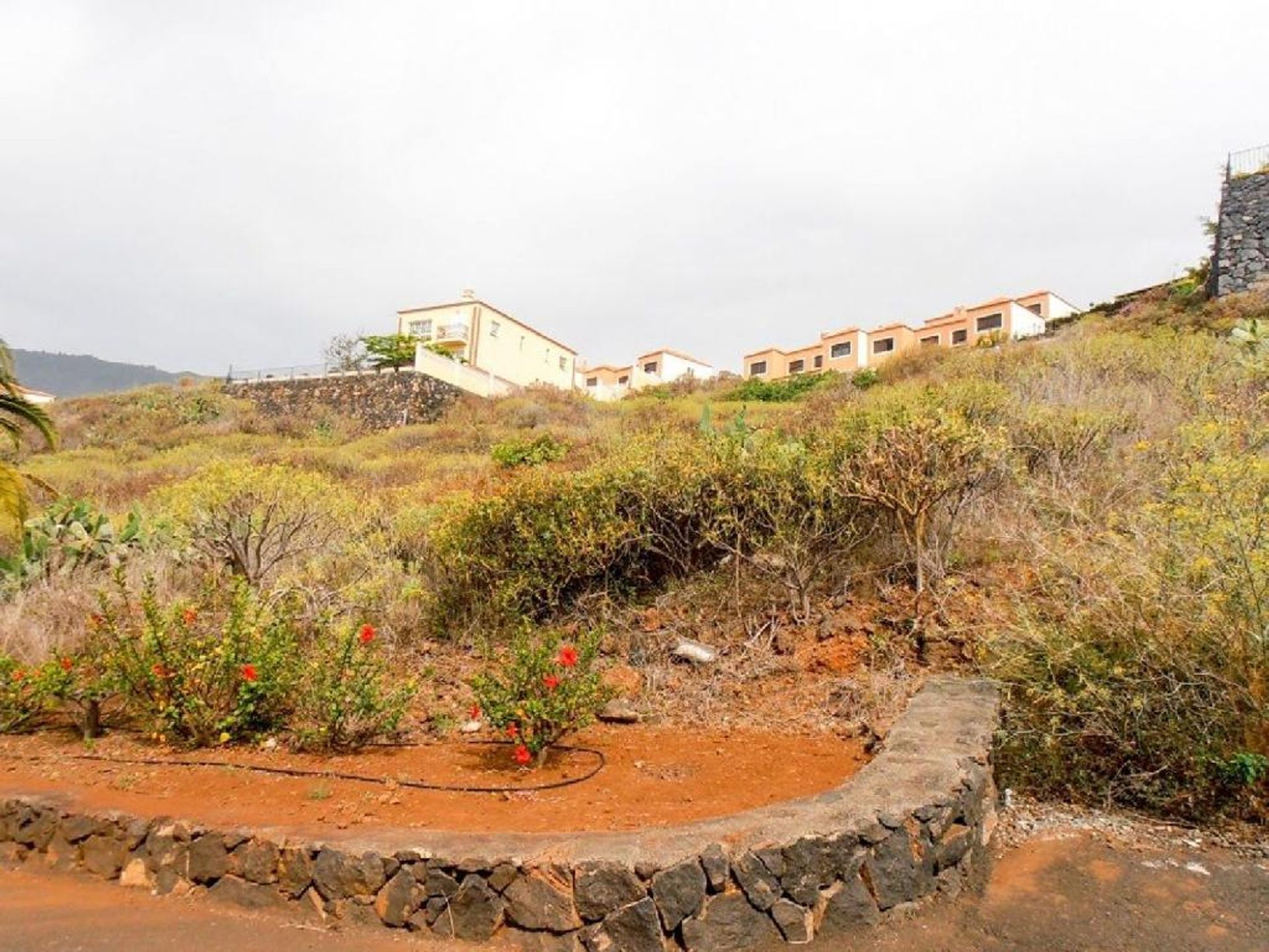 土地 在 Breña Alta, Canarias 11523832