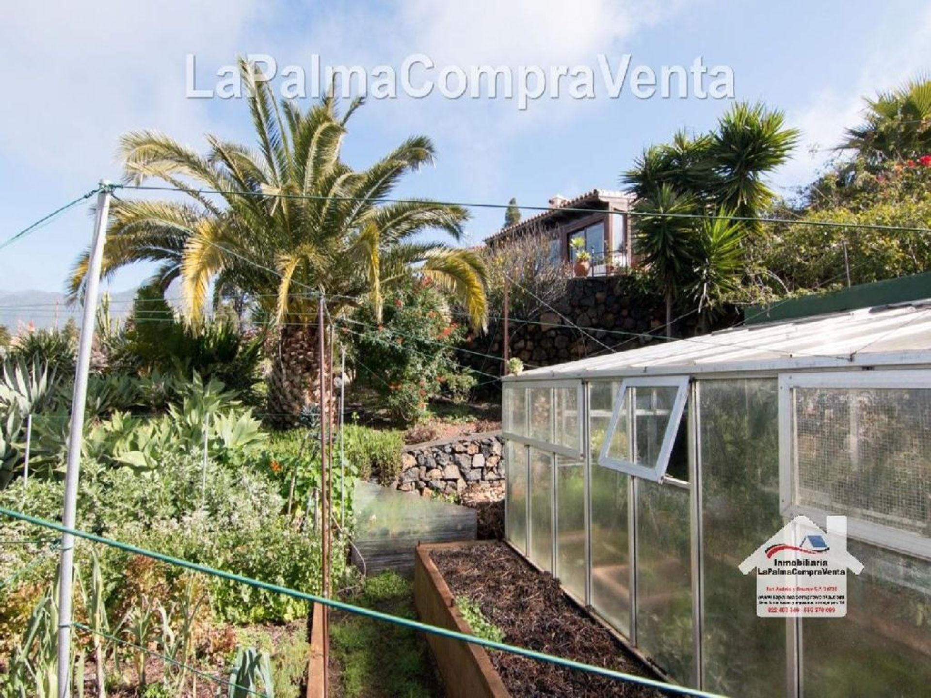 Rumah di El Paso, Canarias 11523837