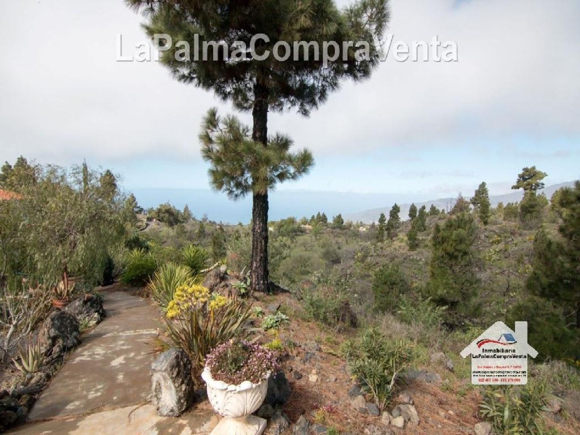 жилой дом в El Paso, Canarias 11523837