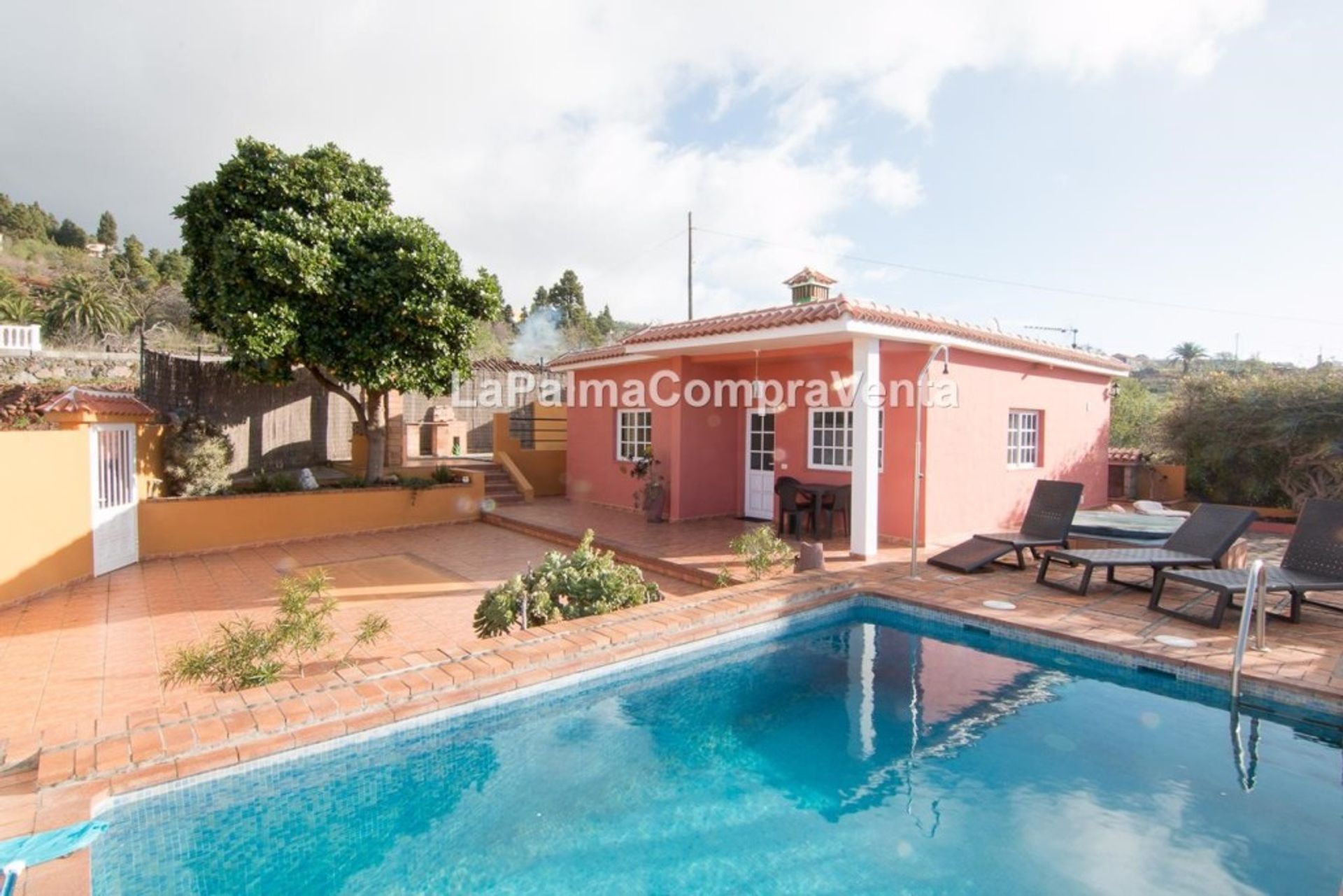 House in Puntagorda, Canary Islands 11523847