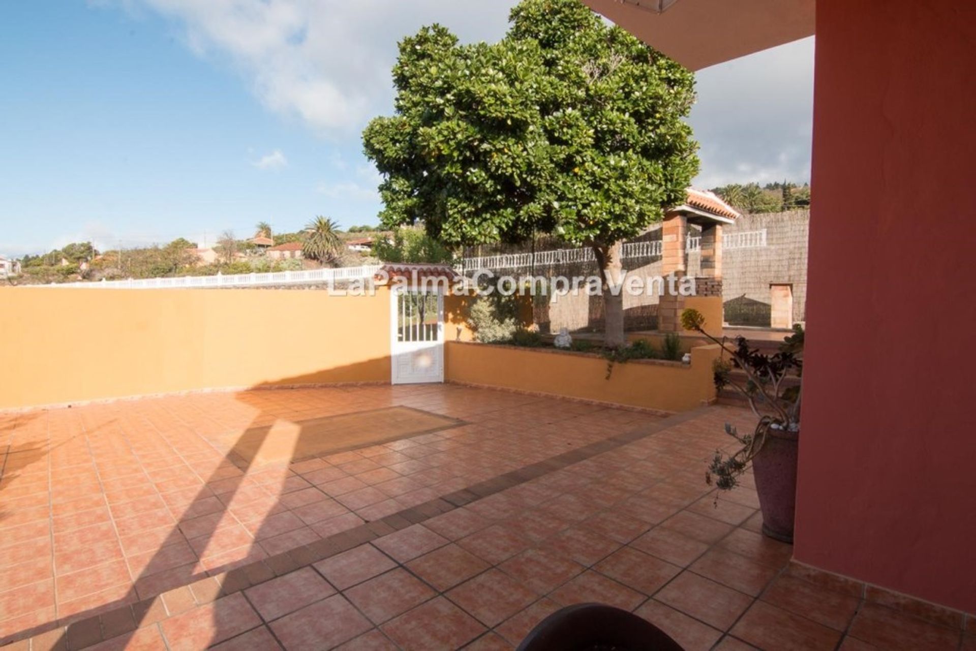 House in Puntagorda, Canary Islands 11523847