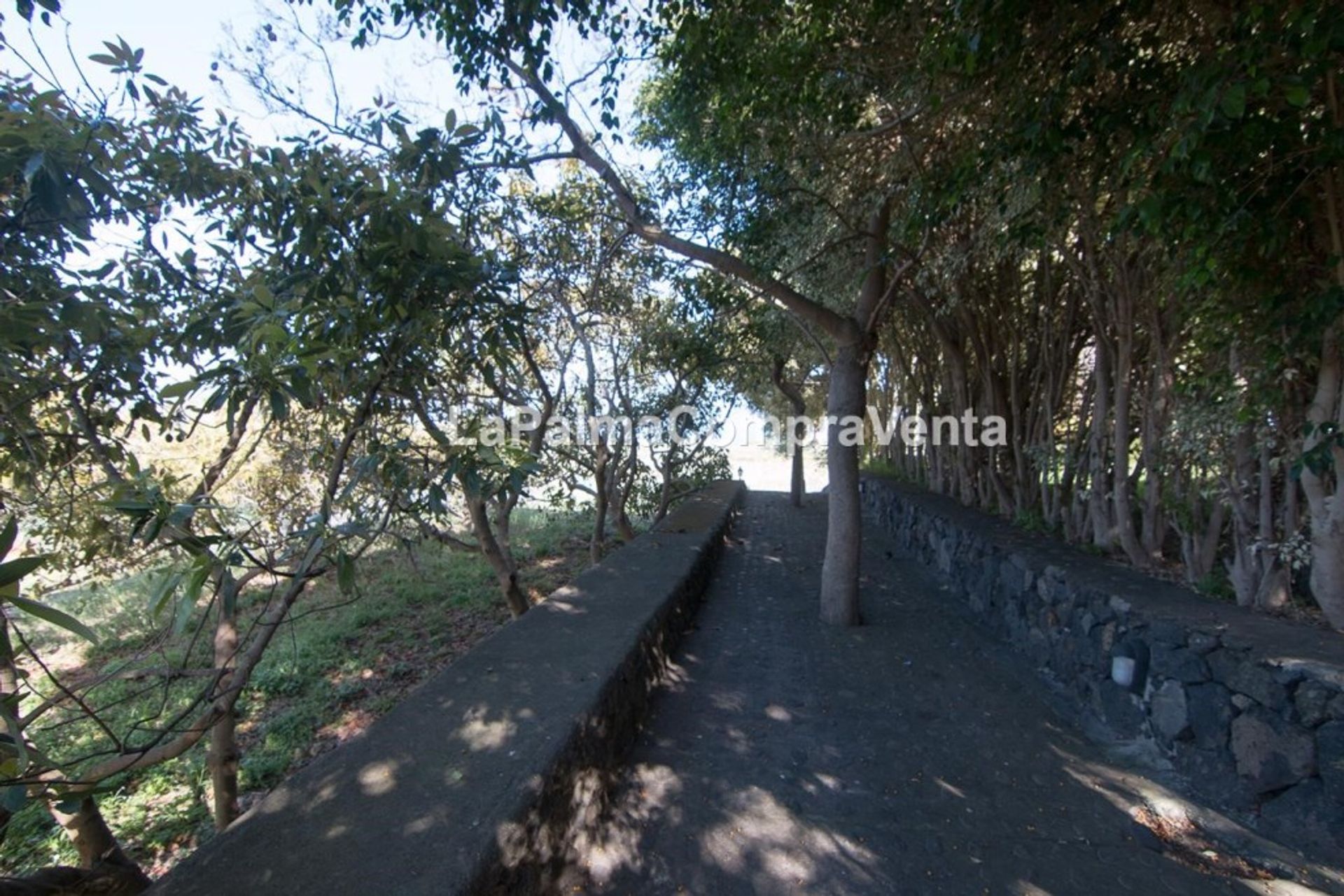 Casa nel Buenavista de Arriba, Canarias 11523849