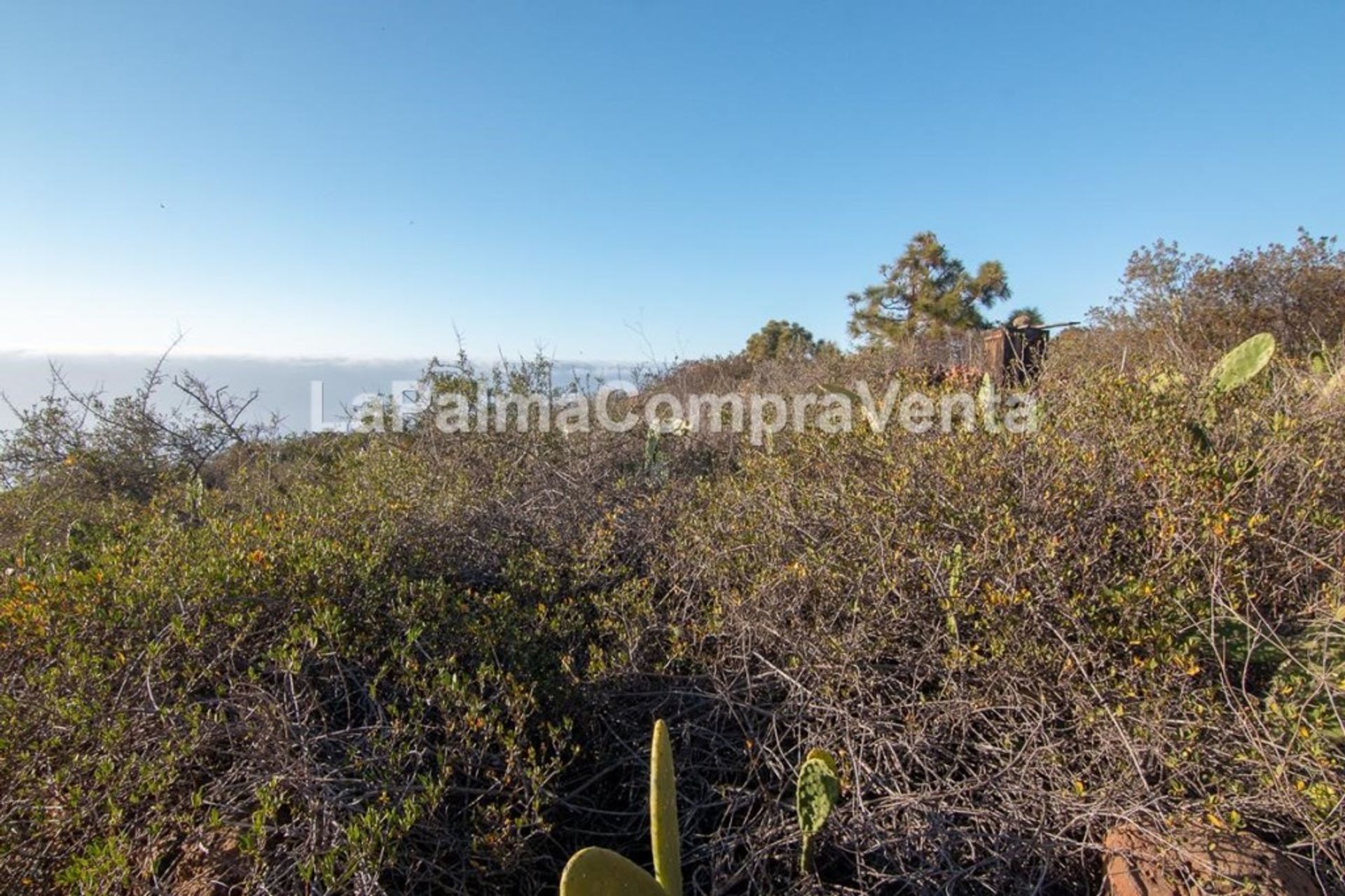 Tanah di Puntagorda, Canarias 11523869