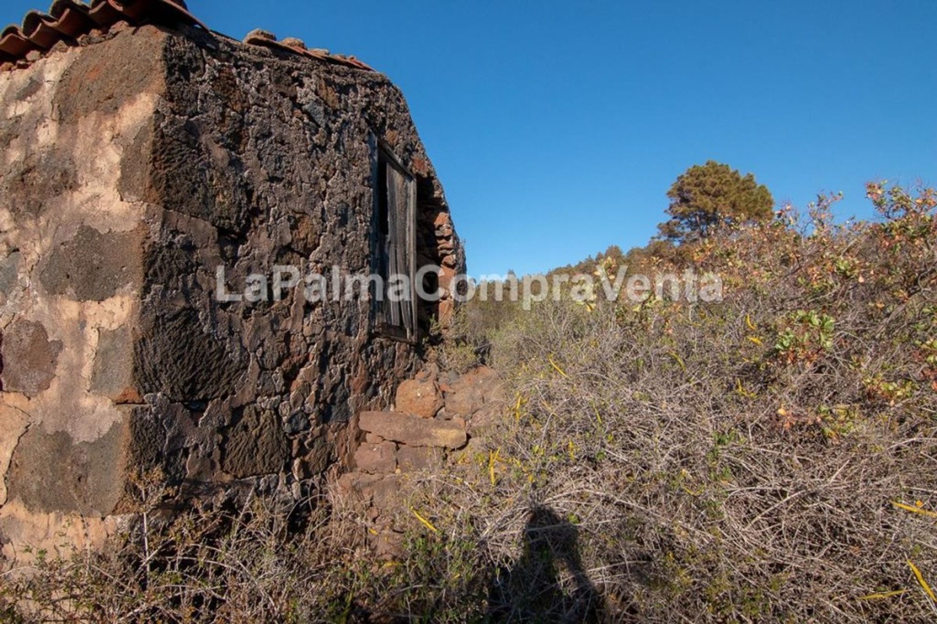 Tierra en Puntagorda, Canarias 11523869