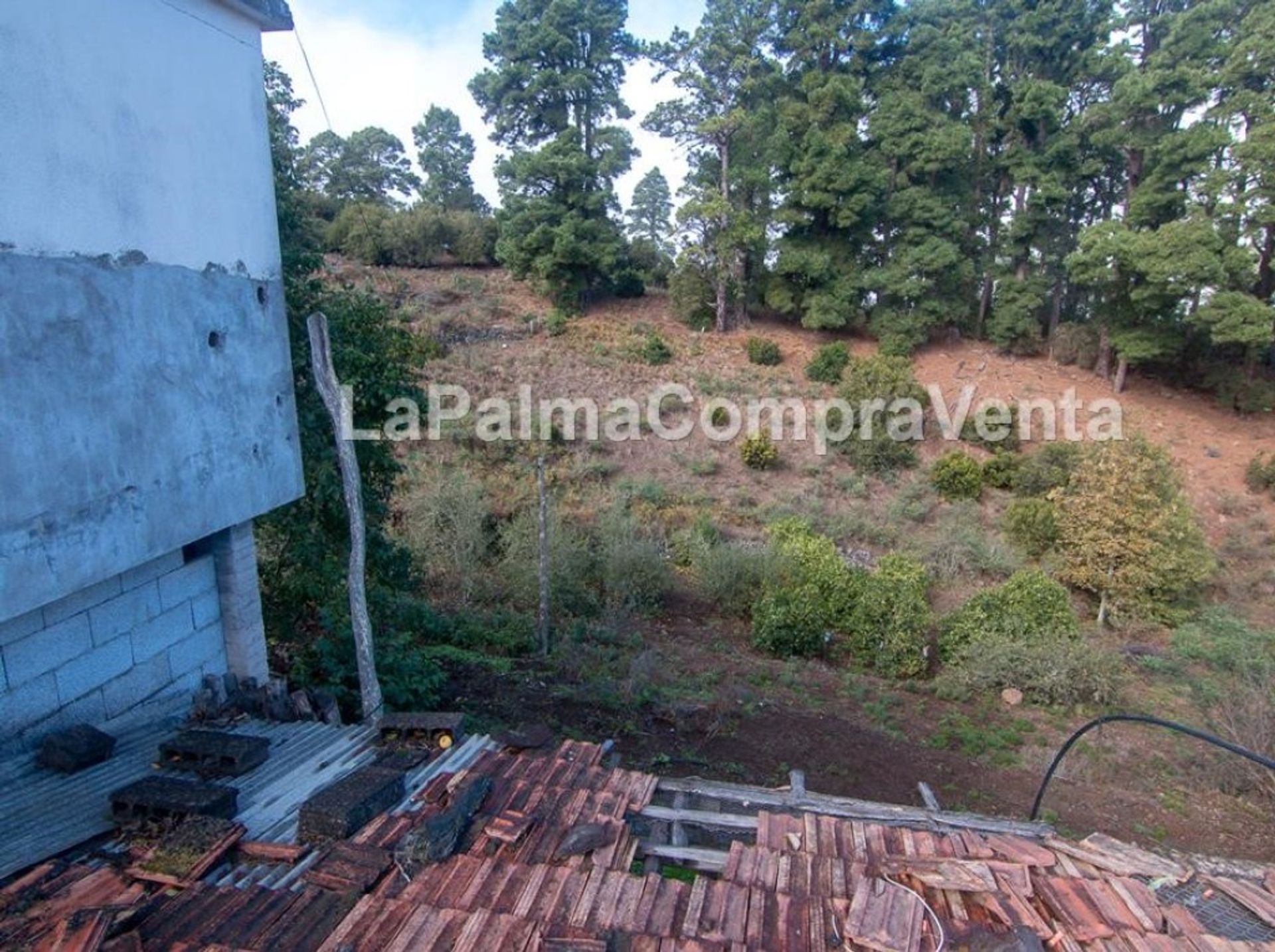 الأرض في Roque del Faro, Canarias 11523874