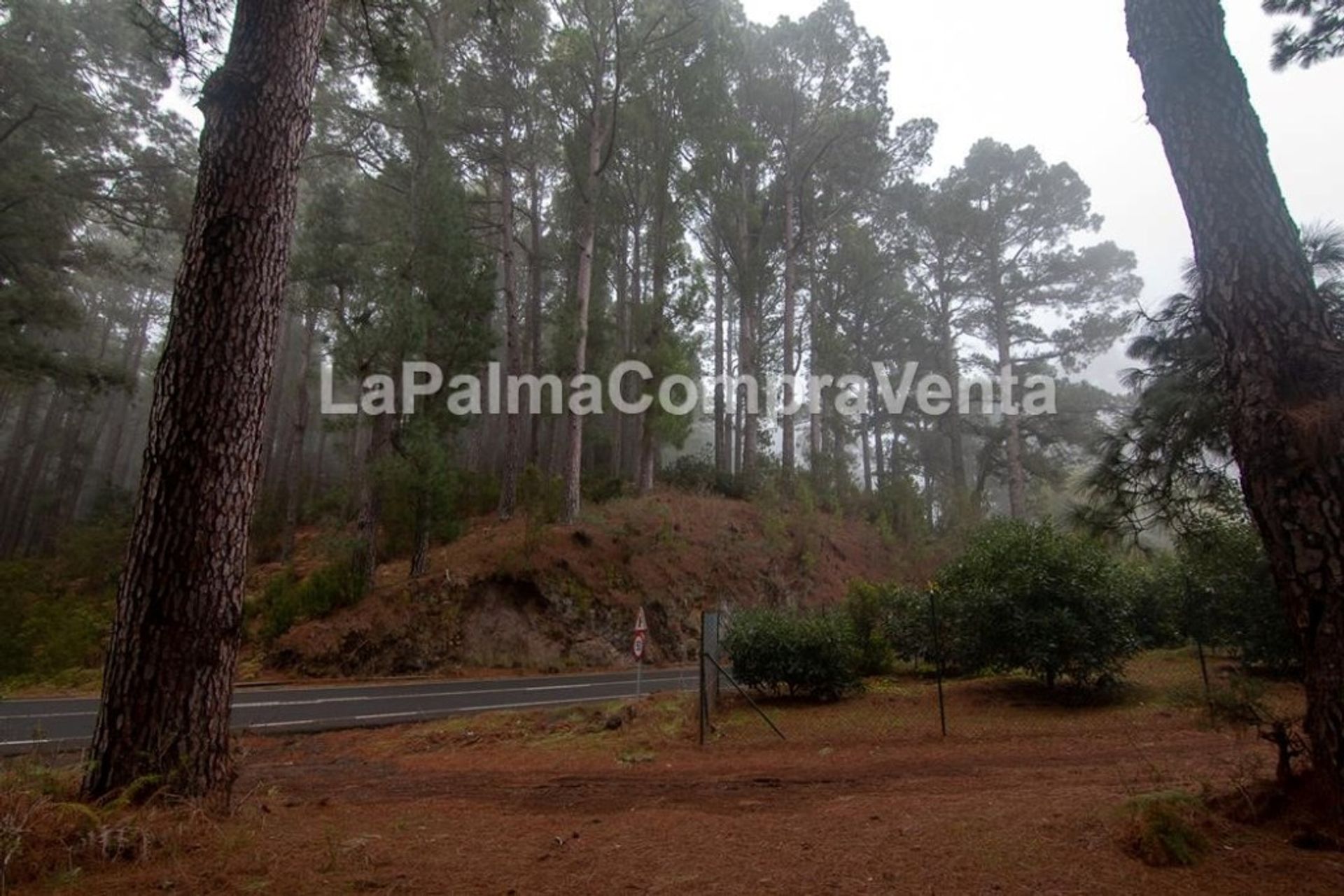 土地 在 Roque del Faro, Canarias 11523875