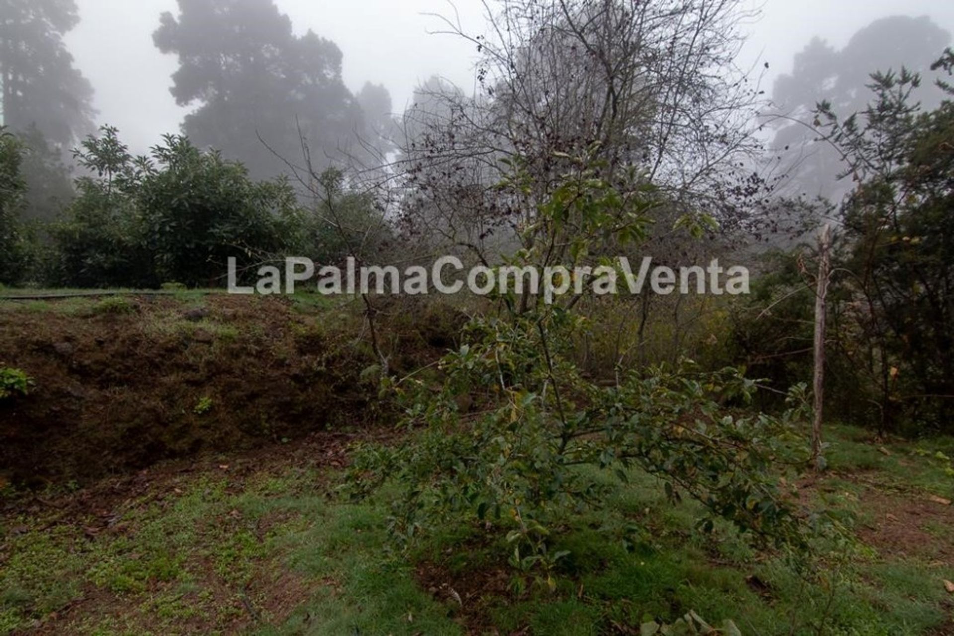 土地 在 Roque del Faro, Canarias 11523875