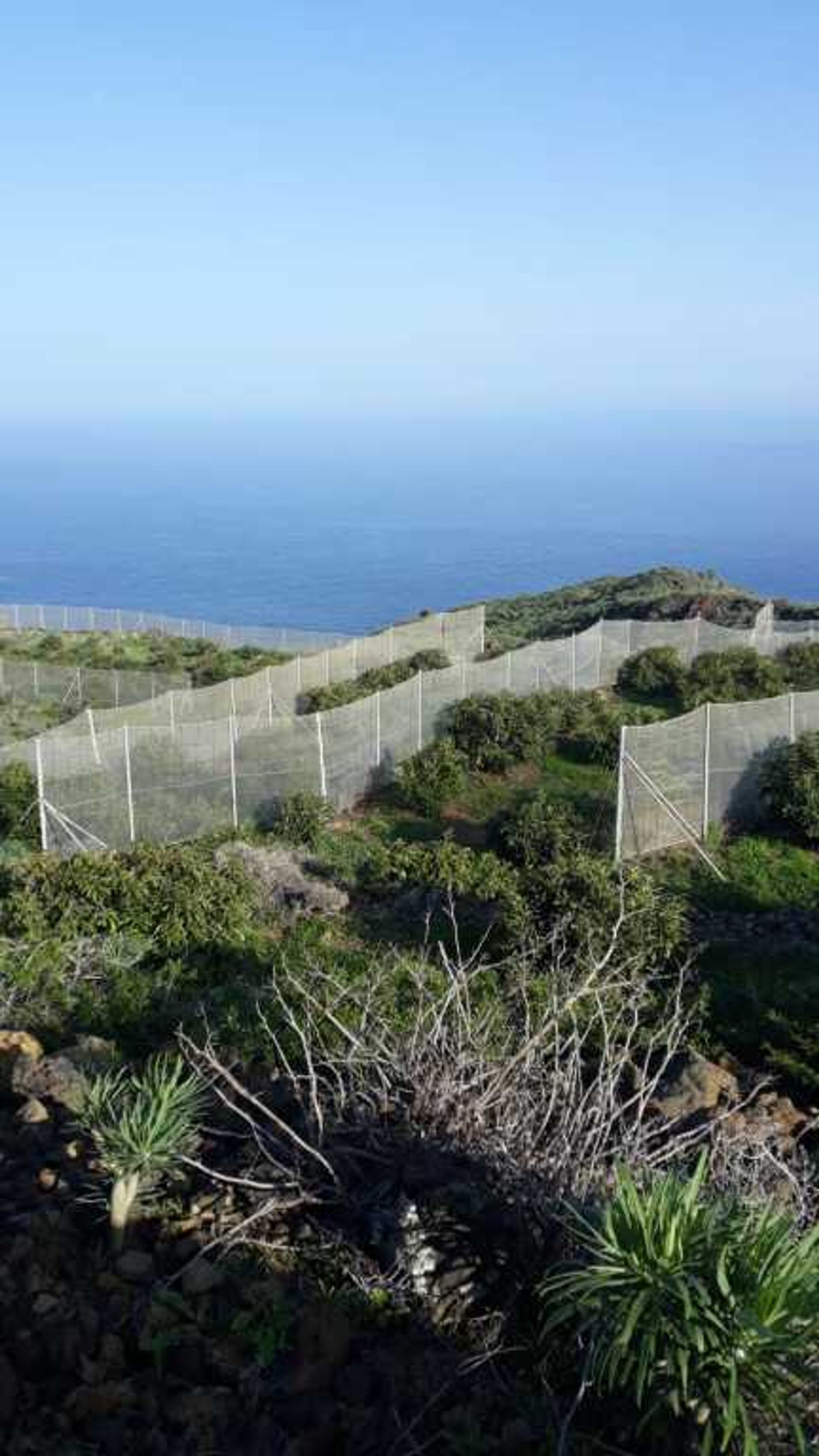 Земля в Villa de Mazo, Canarias 11523879