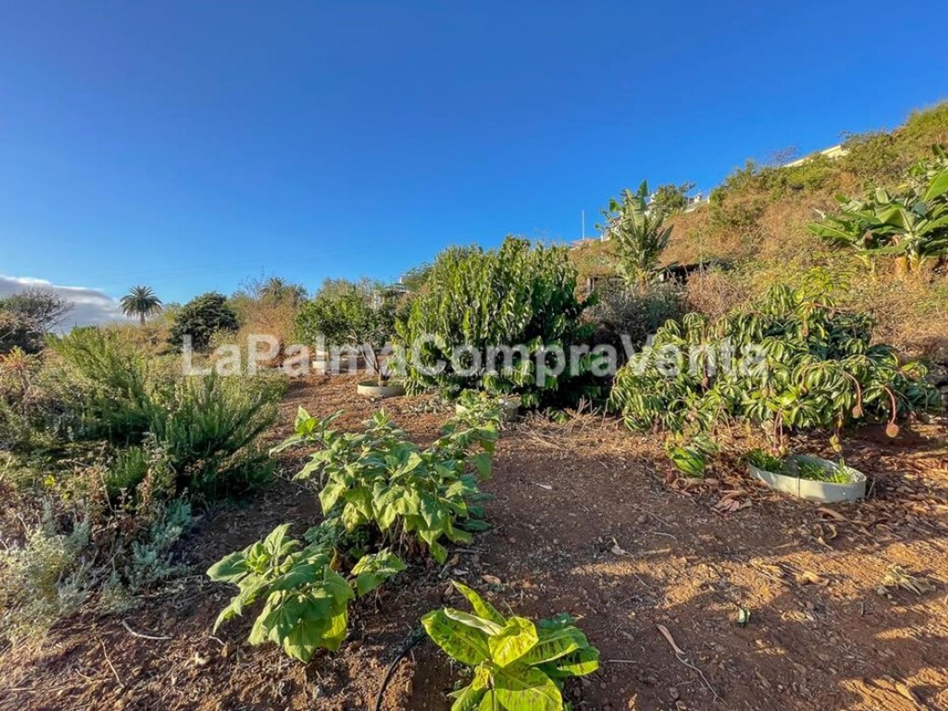 loger dans Breña Alta, Canarias 11523890