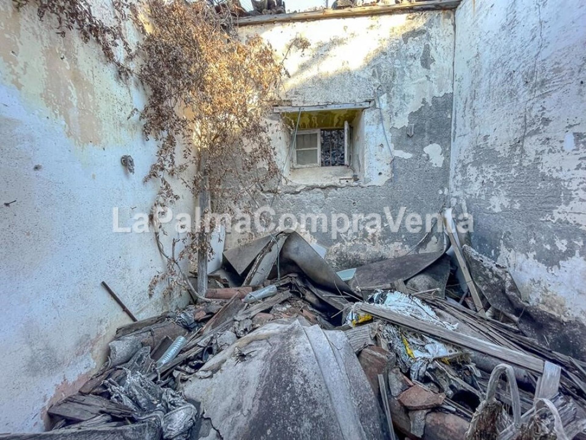 Haus im Breña Baja, Canarias 11523894