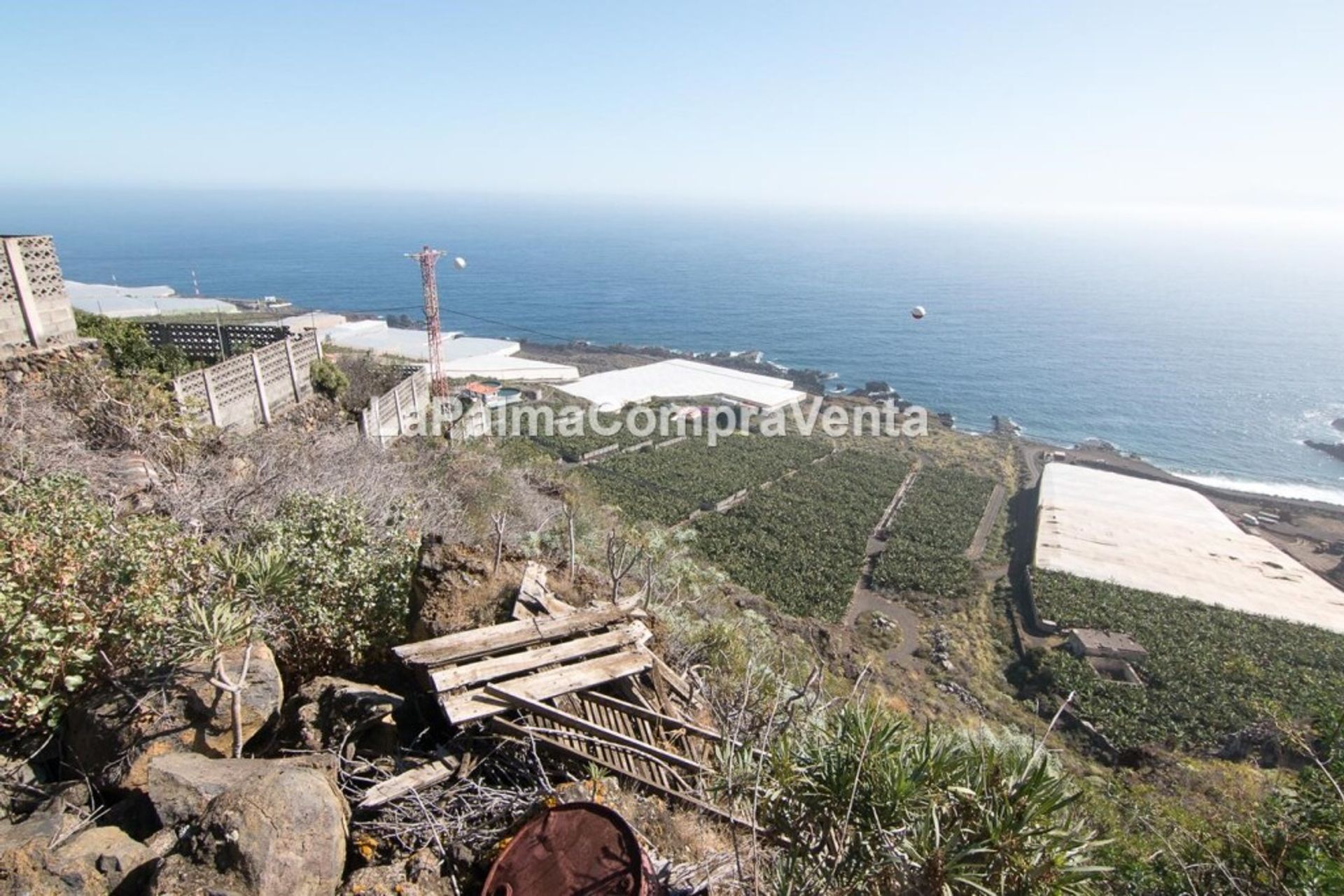 Terra no , Canarias 11523899