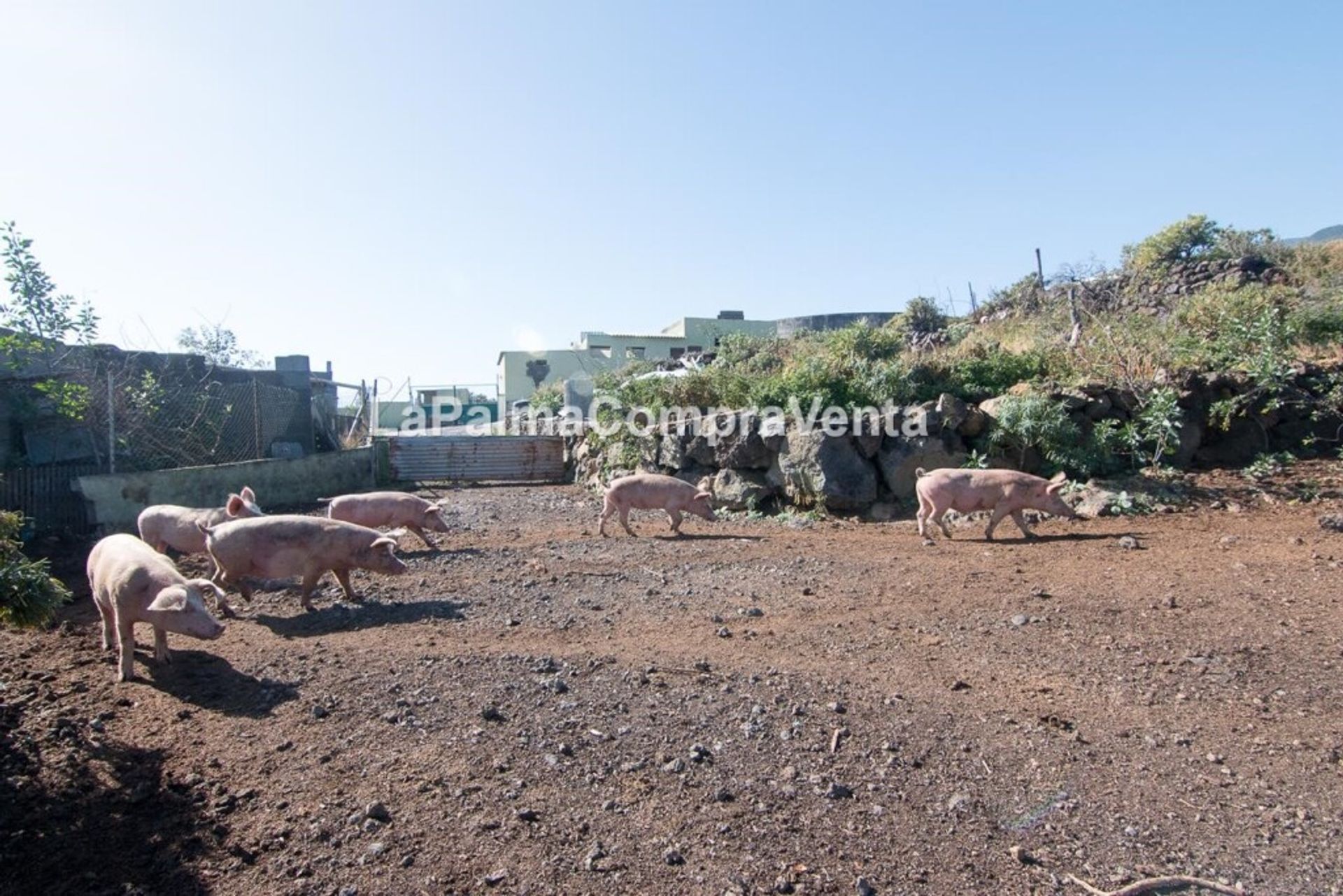 土地 在 , Canarias 11523899