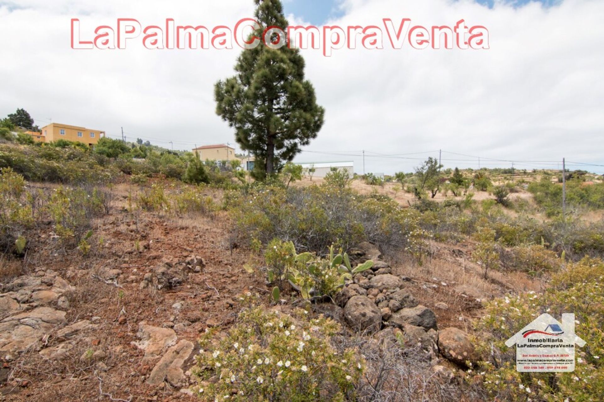 Земля в Puntagorda, Canarias 11523903