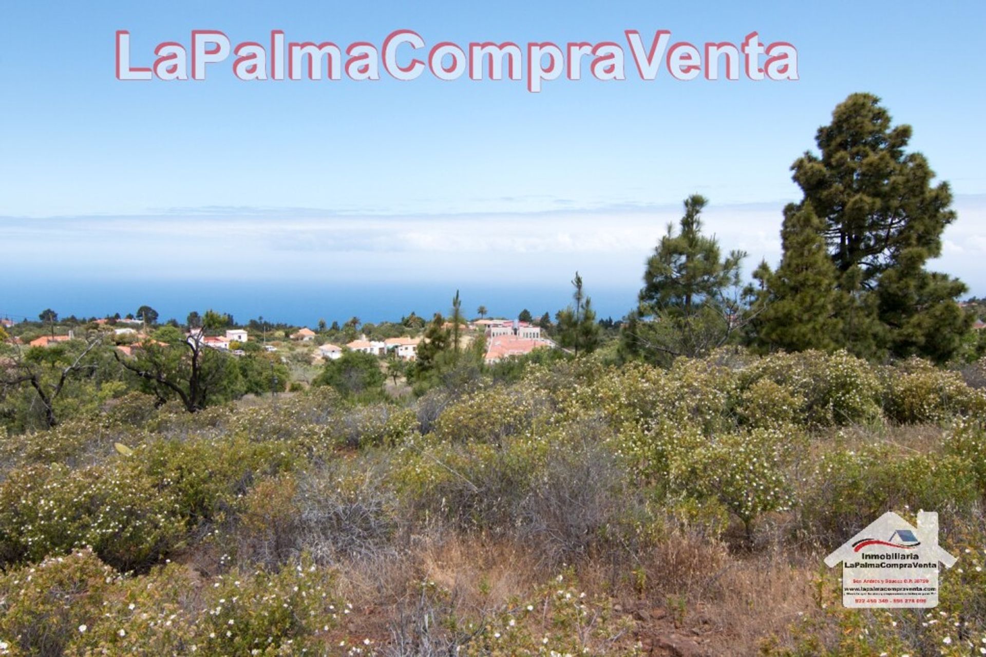 Земля в Puntagorda, Canarias 11523903