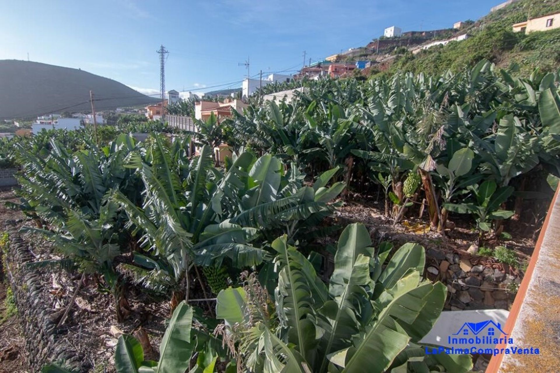 σπίτι σε Barlovento, Canarias 11523905