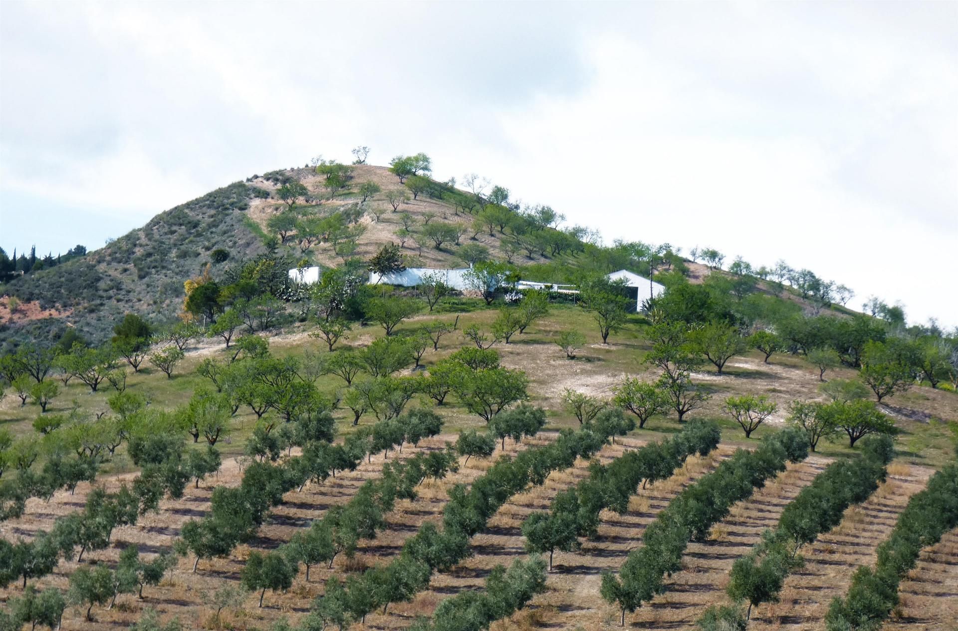 Будинок в Ardales, Andalucía 11524343