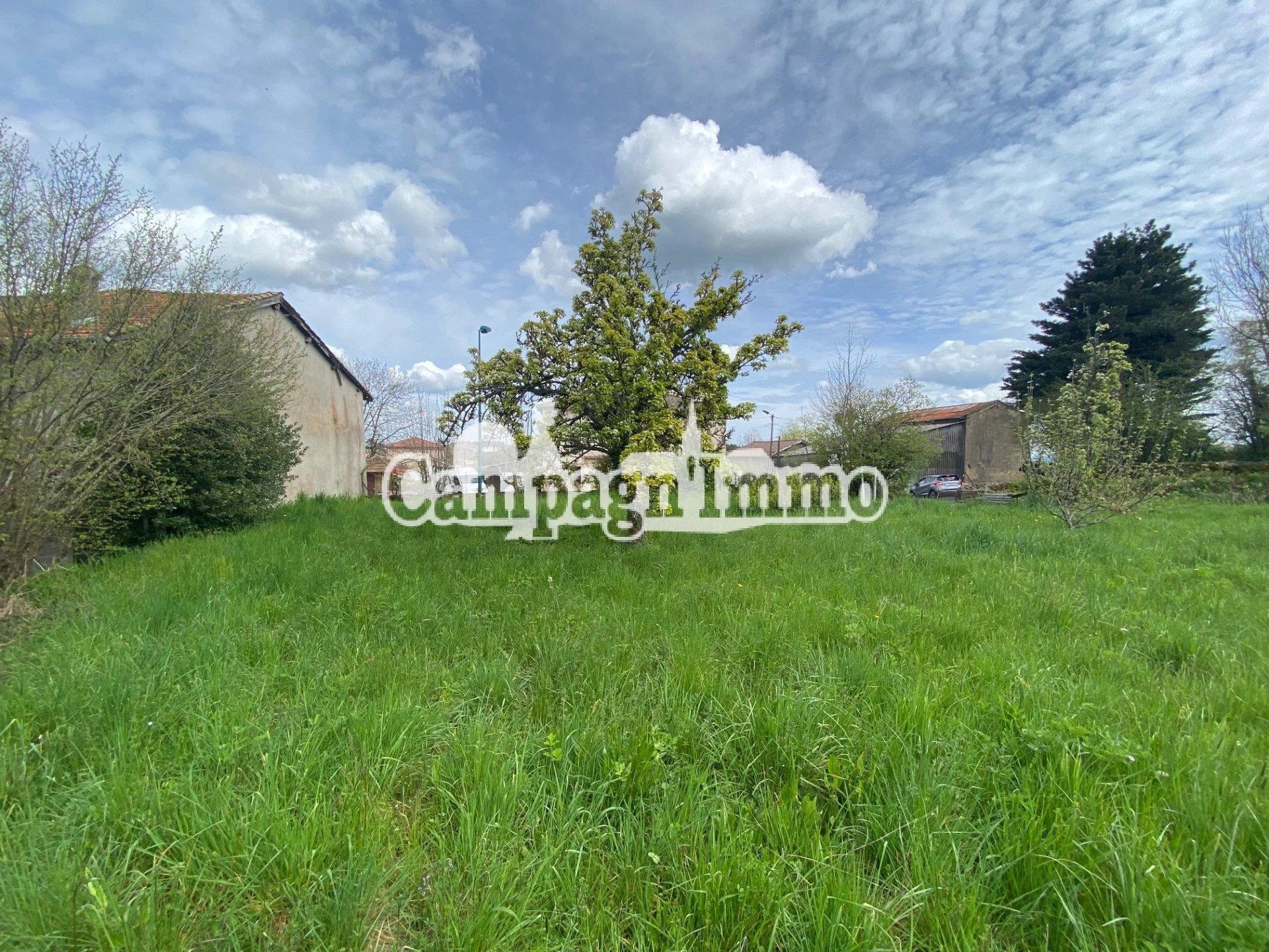 Land in Afoux, Auvergne-Rhône-Alpes 11525446