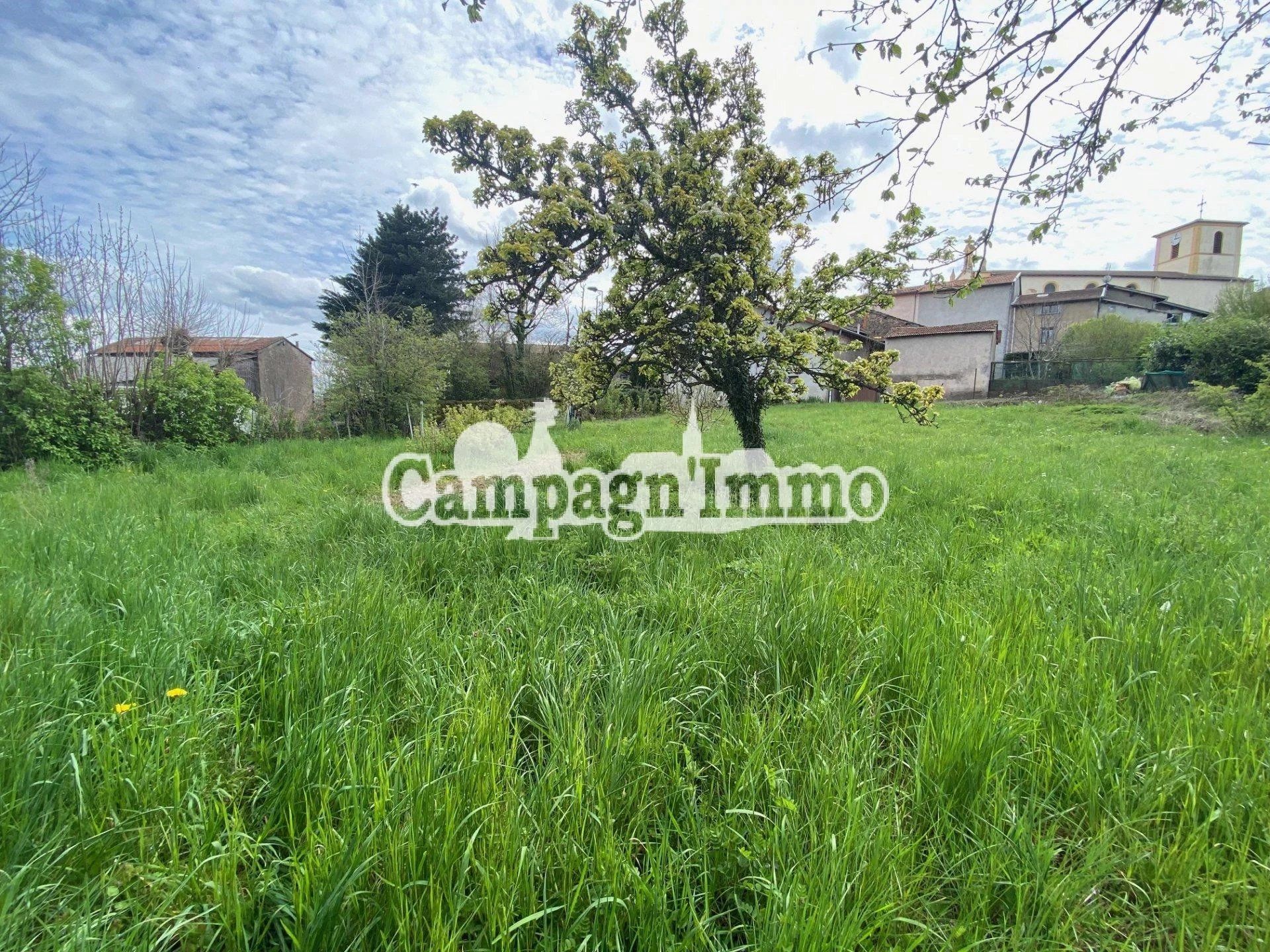 Terre dans Affoux, Auvergne-Rhône-Alpes 11525446