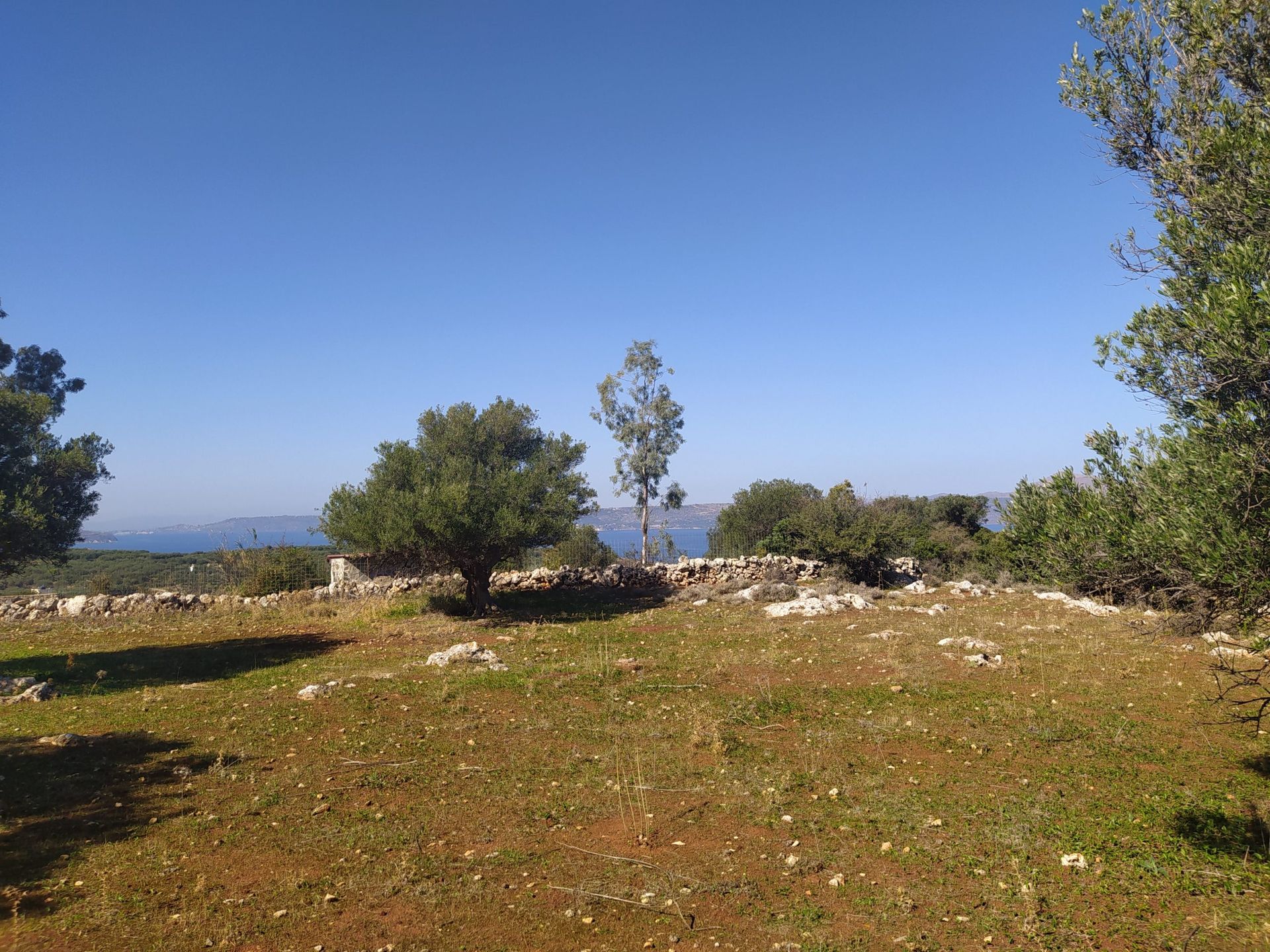 Land in Kefalas, Kriti 11526145