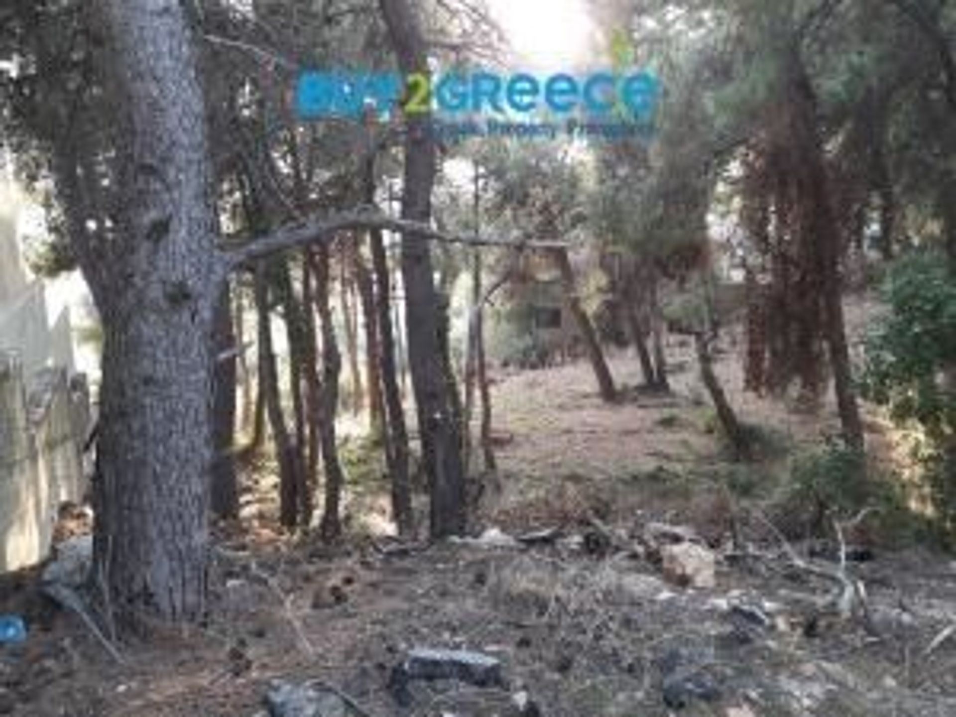 Γη σε Θρακομακεδόνες, Αττικής 11526212