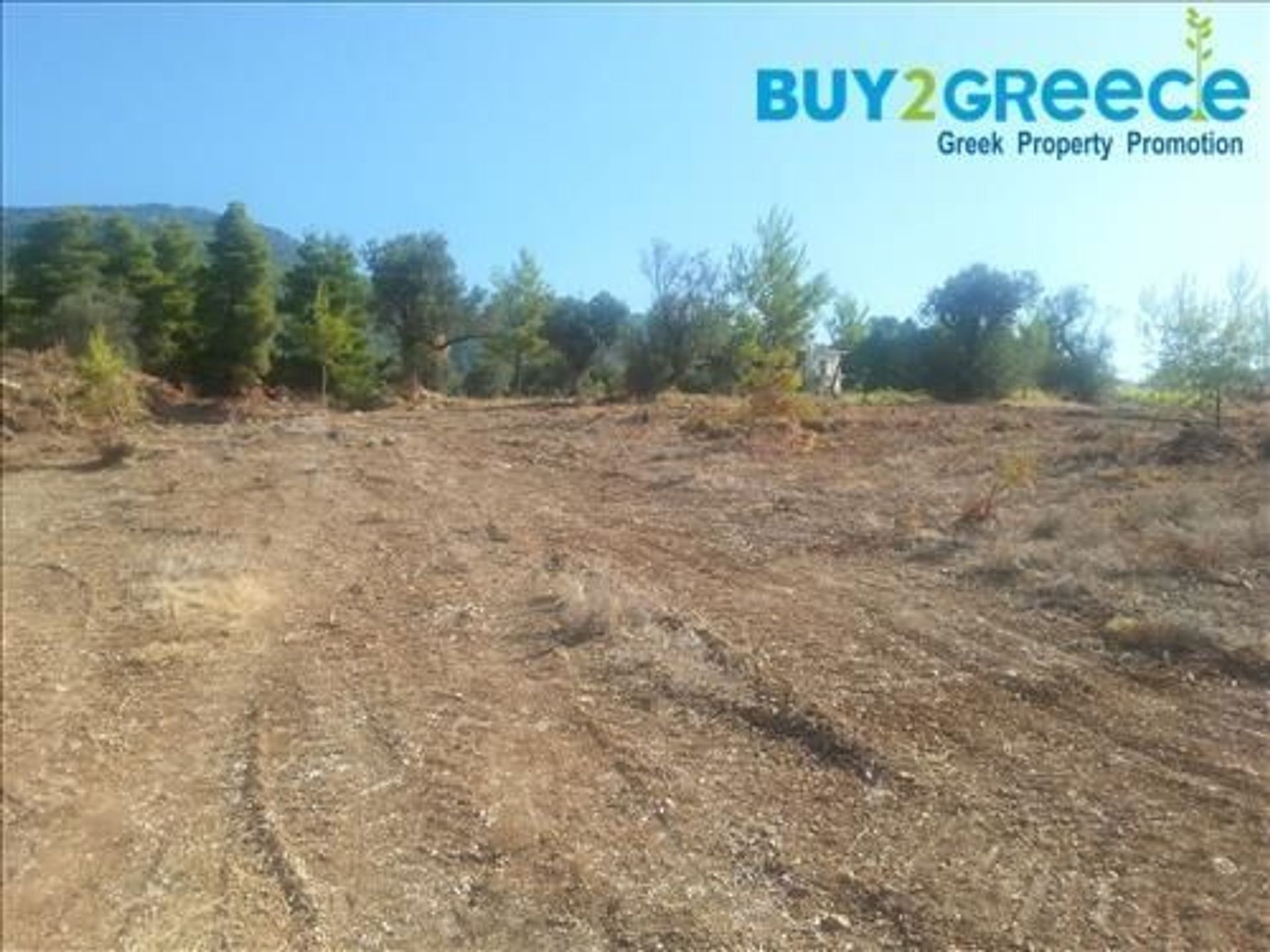 Land in Messapia,  11526372