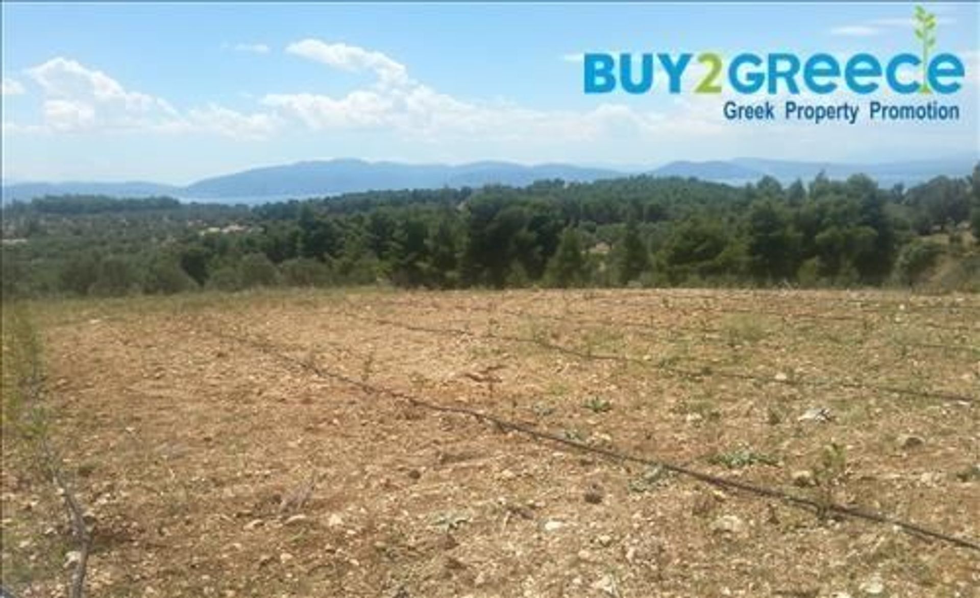 Land in Messapia,  11526372