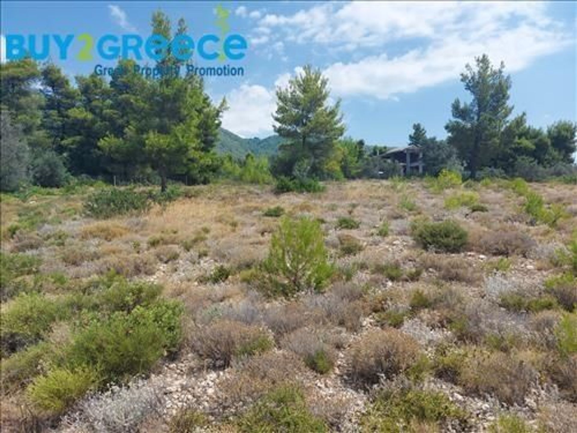 Land in Messapia,  11526372