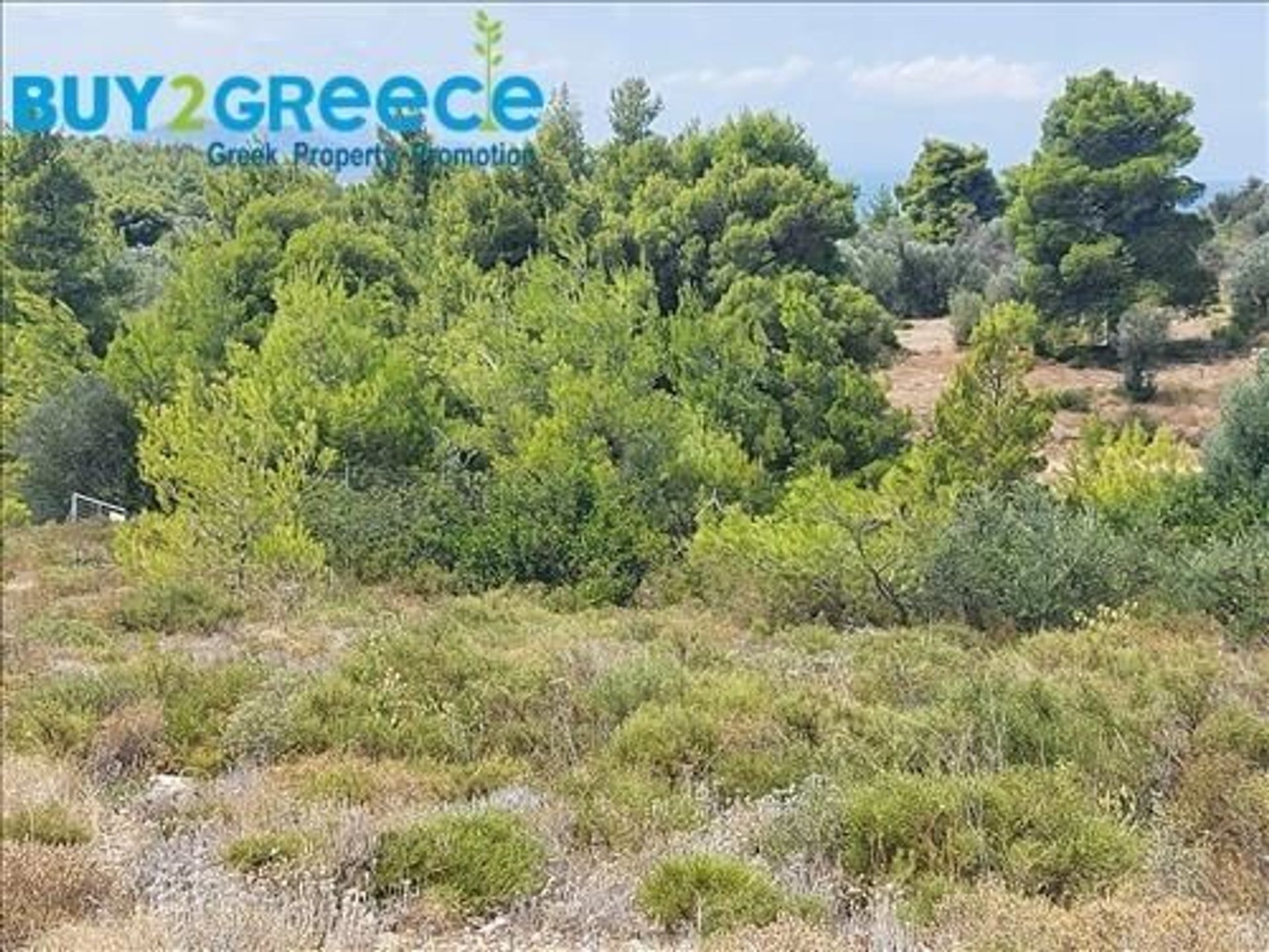 Land in Messapia,  11526372