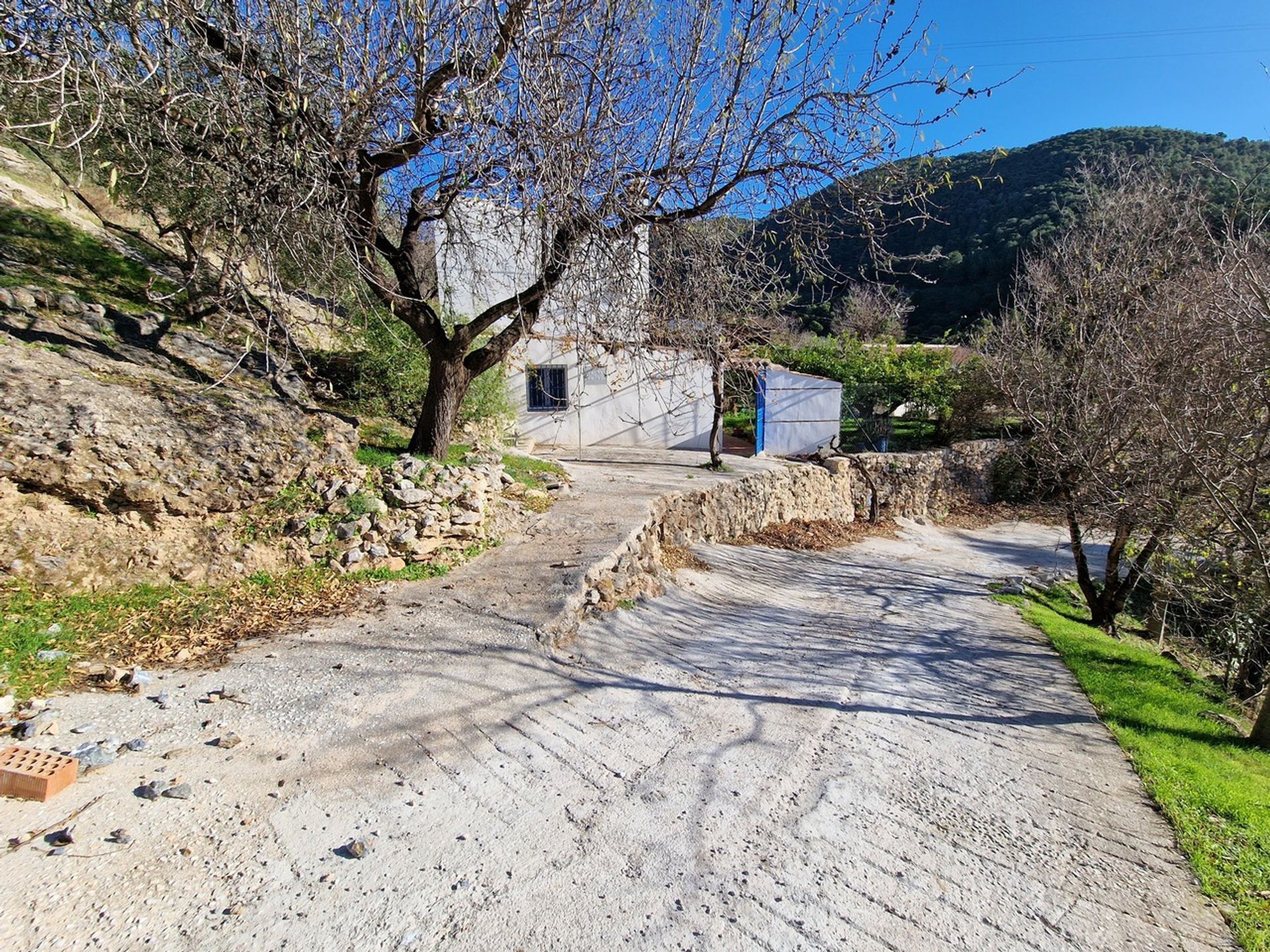 Huis in Alcaucin, Andalusië 11526793