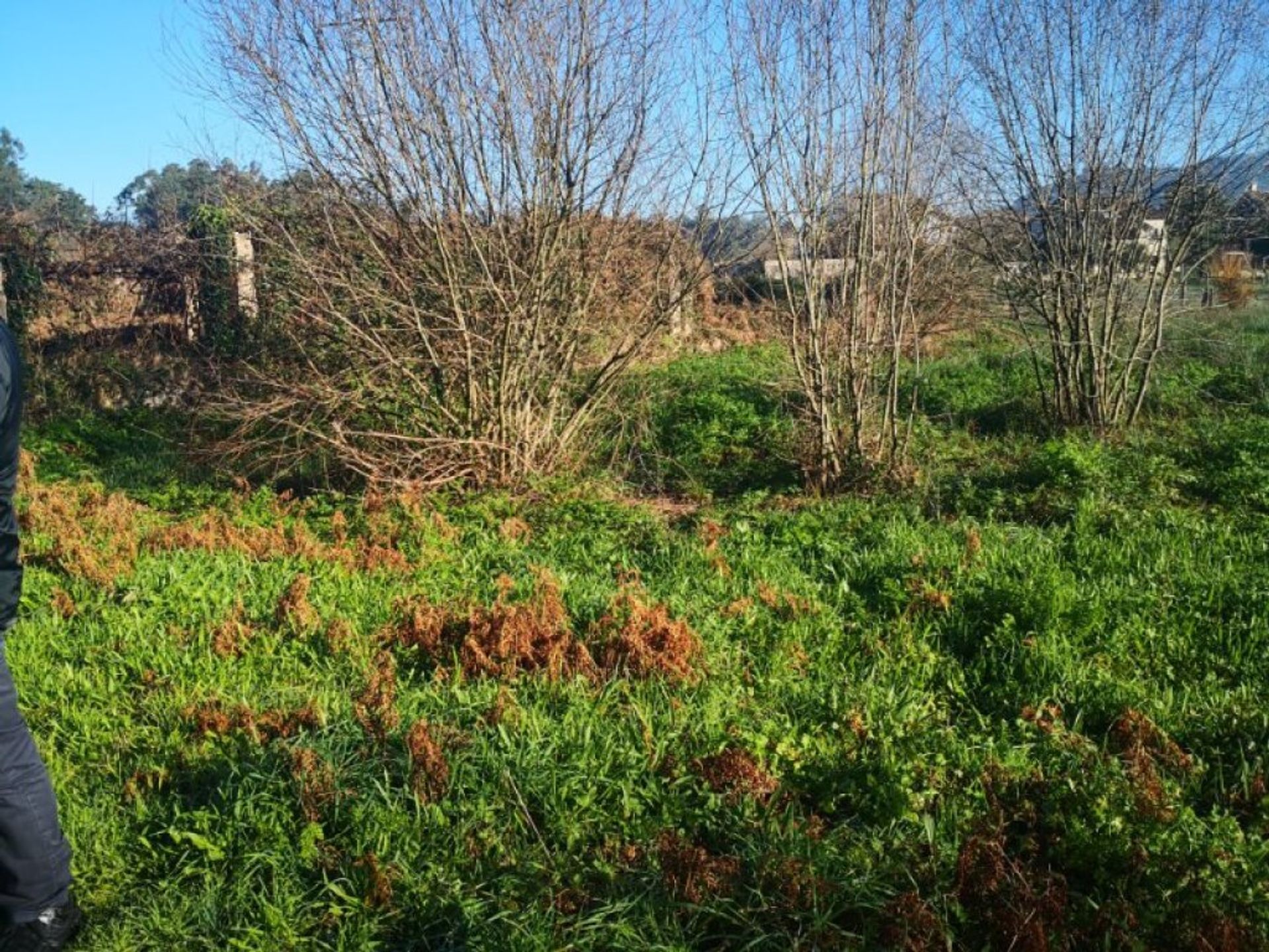 土地 在 Porriño, Galicia 11526810