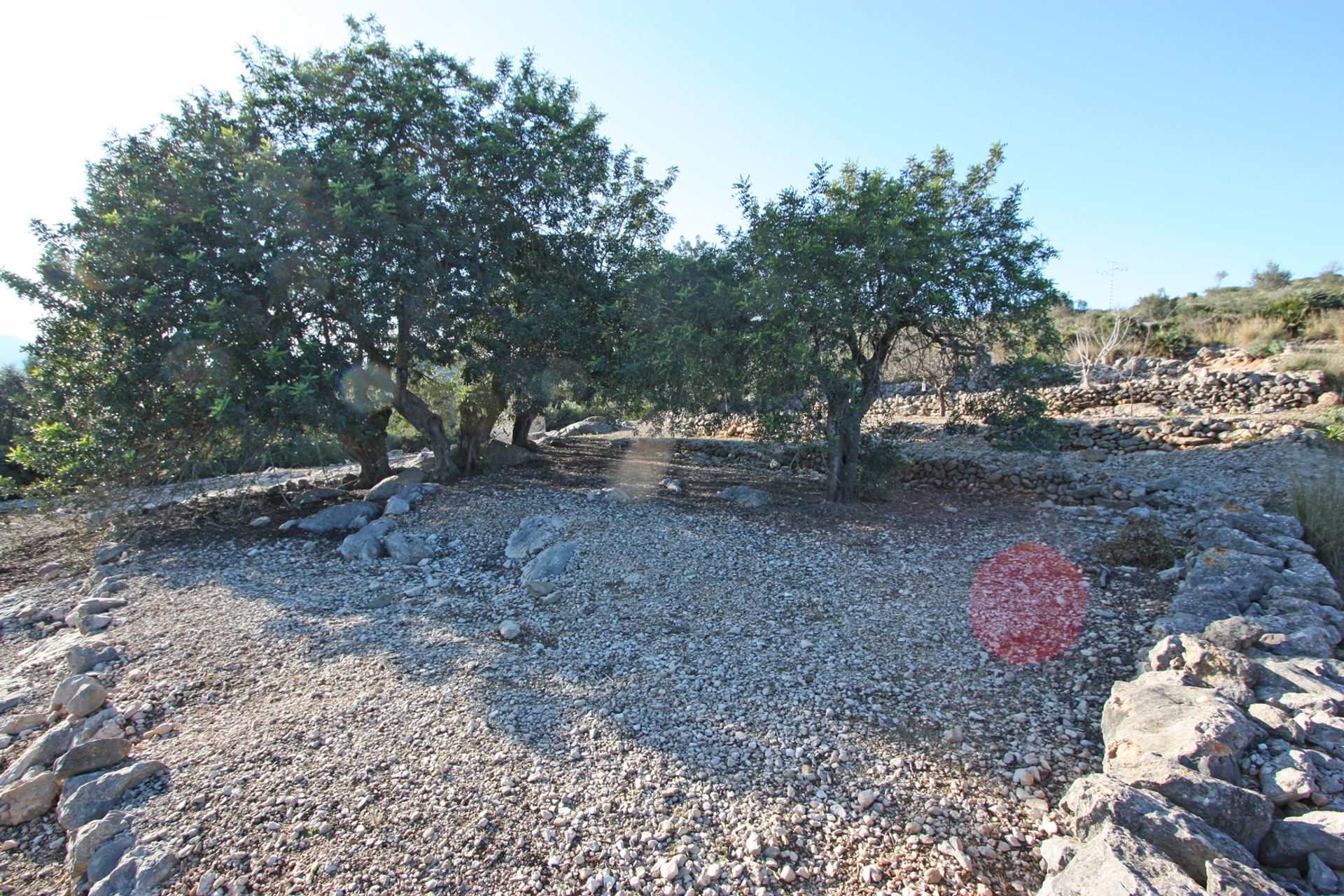 Terre dans Beniméli, Valence 11527370