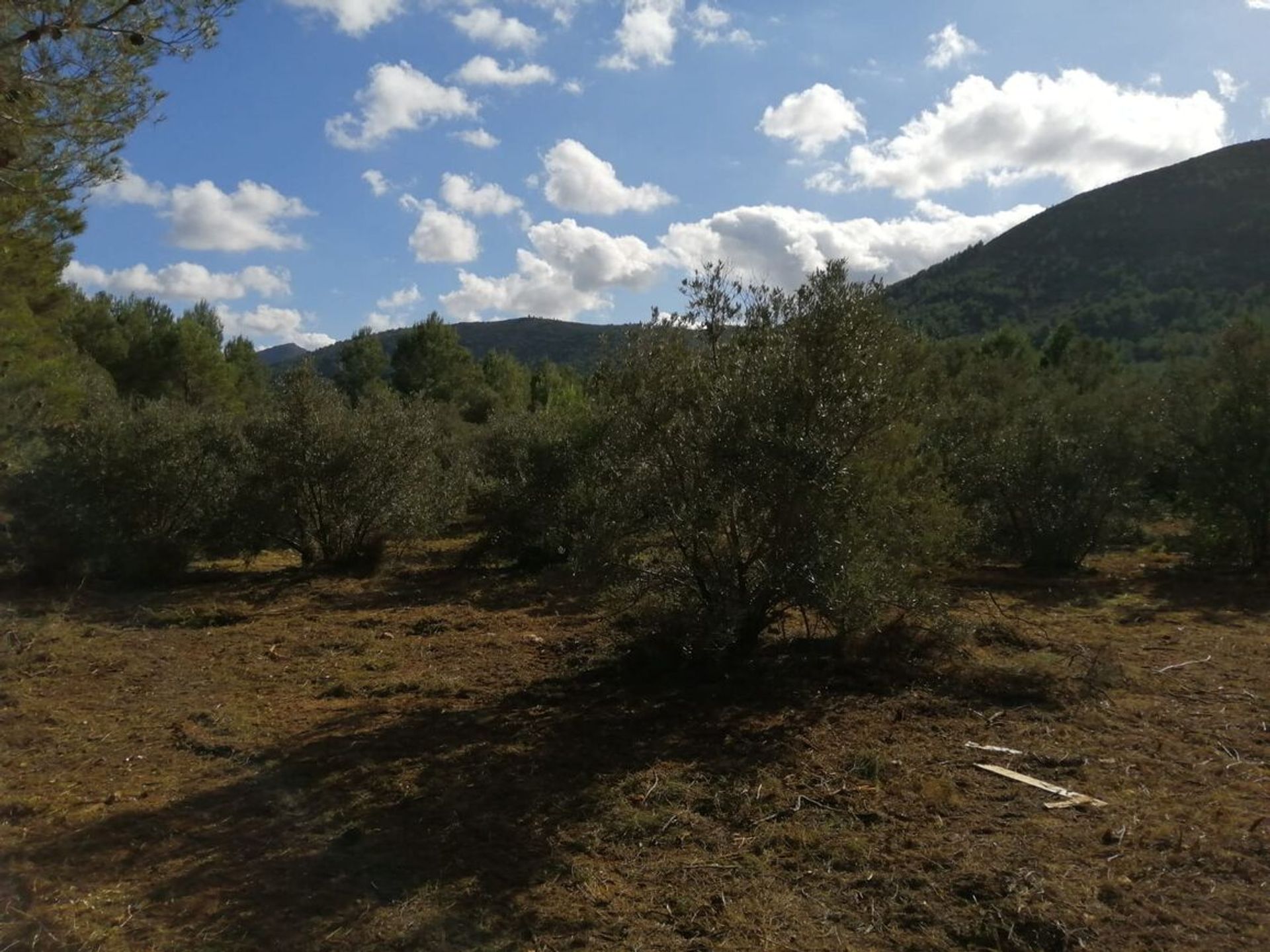 土地 在 Alcalalí, Comunidad Valenciana 11527476